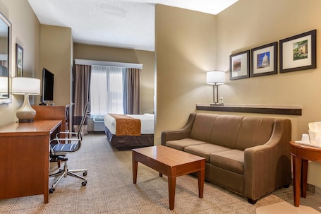 Desk, blackout curtains, soundproofing, iron/ironing board. Comfort Suites Jonesboro University Area