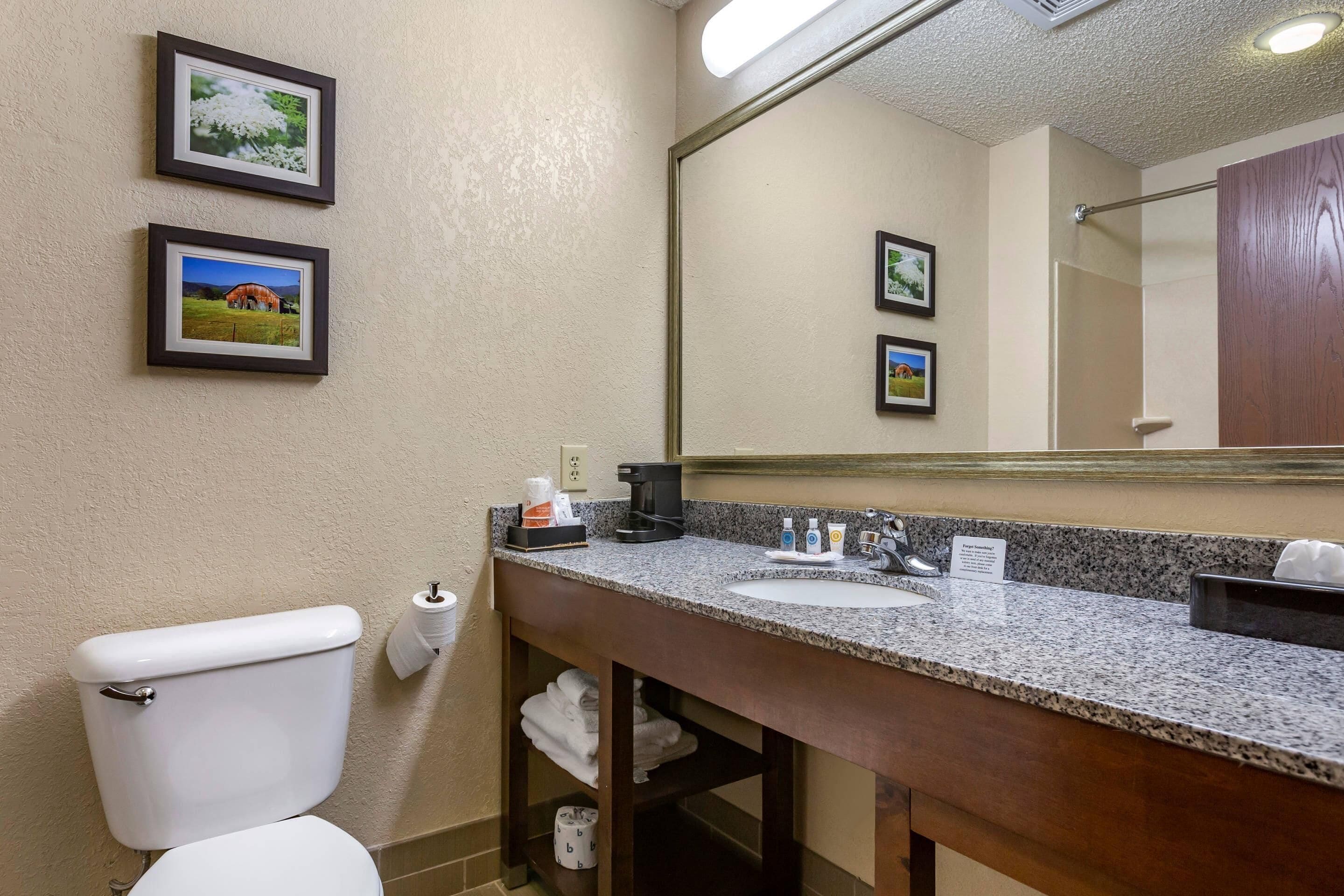 A bathroom with a toilet, sink, and mirror. There are framed pictures on the wall.