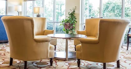 Comfort Suites Rock Hill Manchester Meadows Area