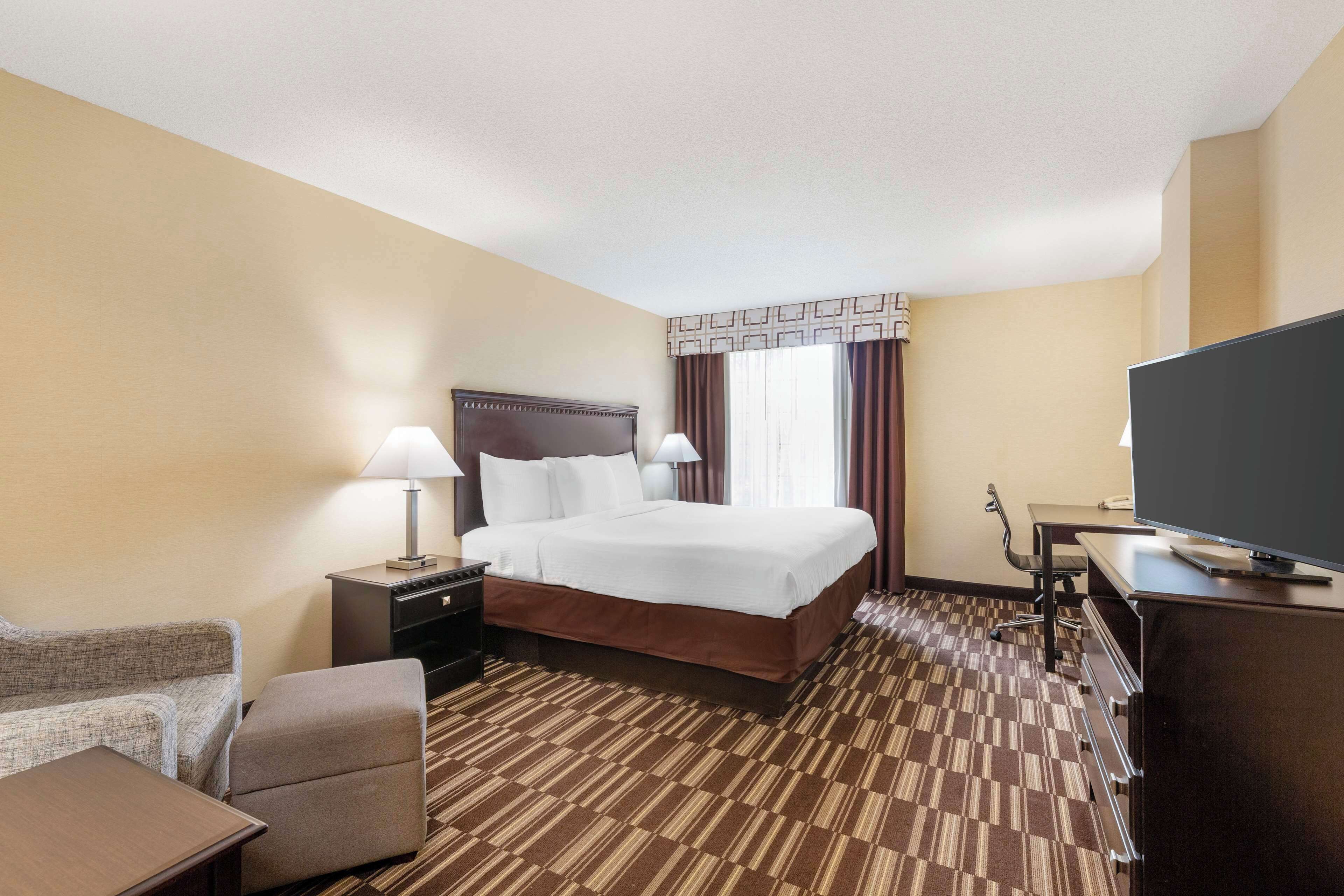 A hotel room with a bed, a desk, a TV, a chair, and a lamp.