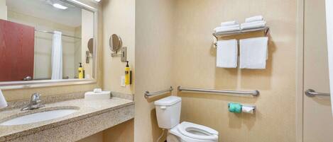 A bathroom with a sink, toilet, and handrails.
