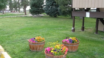 Property grounds