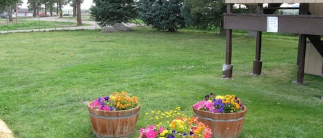Property grounds
