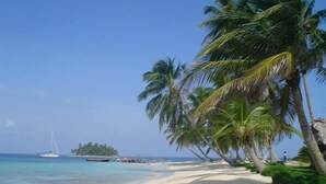 Una playa con palmeras, un velero y un muelle.