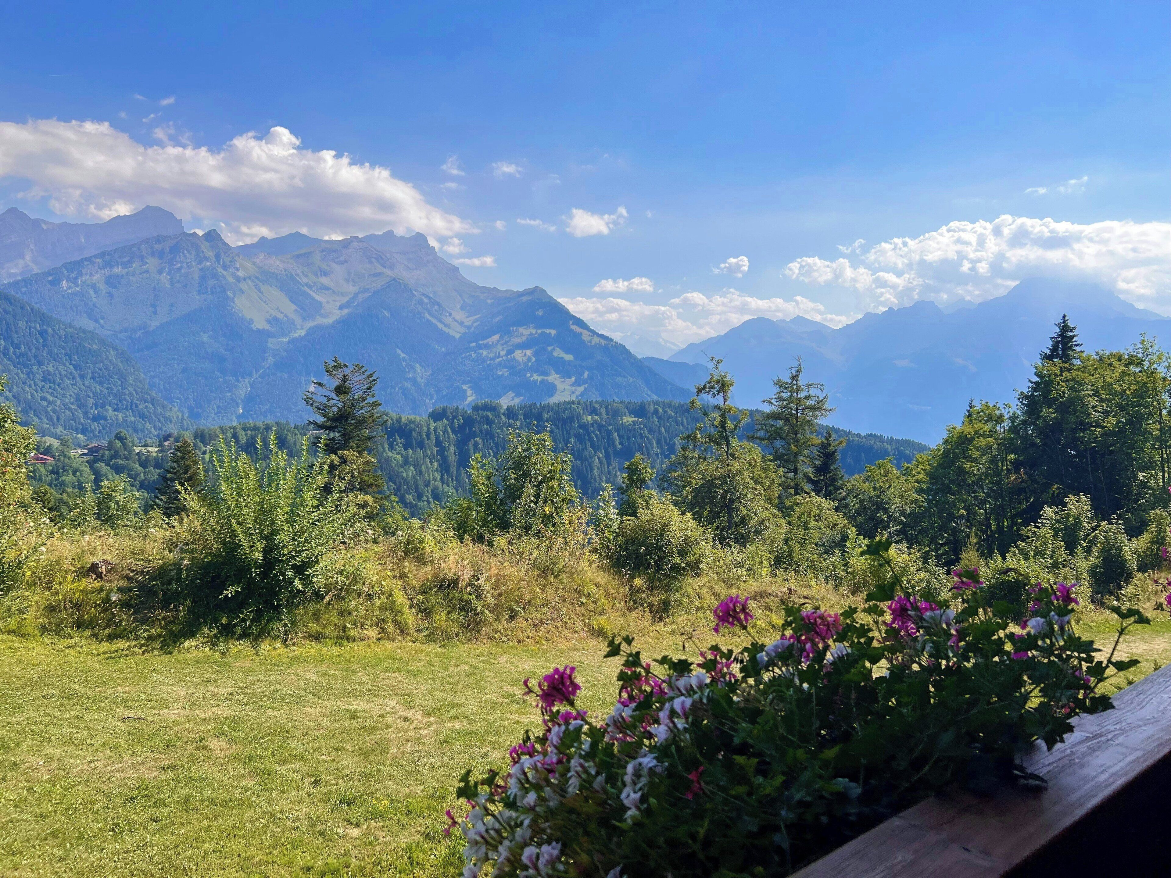 Eine gebirgige Landschaft mit blauem Himmel, üppigem Grün und fernen Berggipfeln.