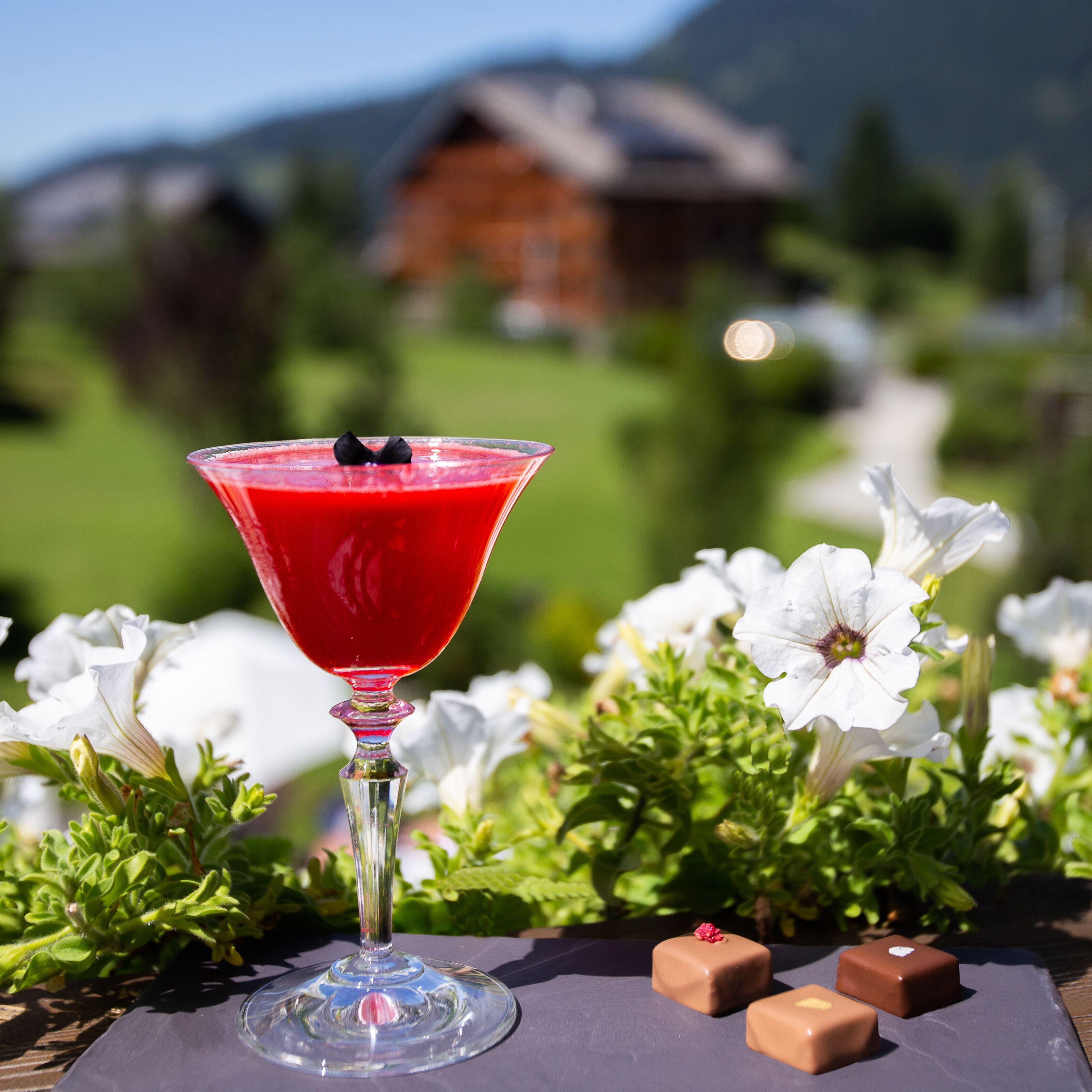 A martini glass with a red drink, surrounded by white flowers and chocolates on a table.