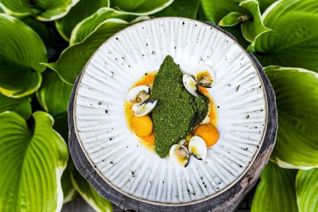 A plate with clams and a green herb garnish on a textured white plate, surrounded by green leaves.