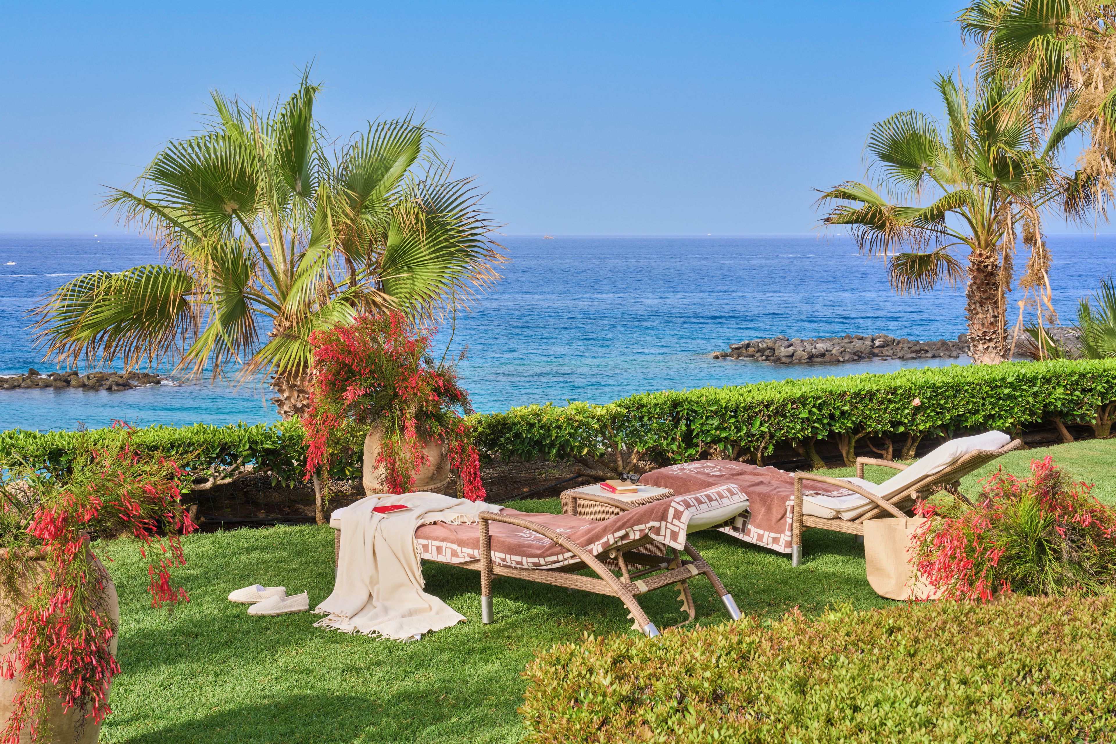 Un jardin en bord de mer avec des chaises longues, un palmier et une vue sur l’océan.
