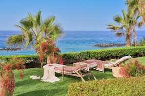 Un jardin en bord de mer avec des chaises longues, un palmier et une vue sur l’océan.