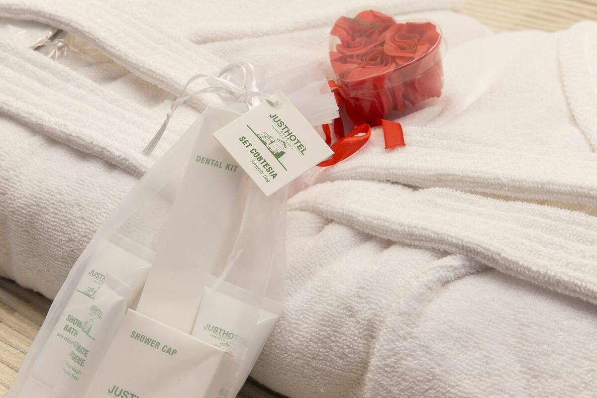 deluxe double room | bathroom amenities | shower, free toiletries, hair dryer, slippers