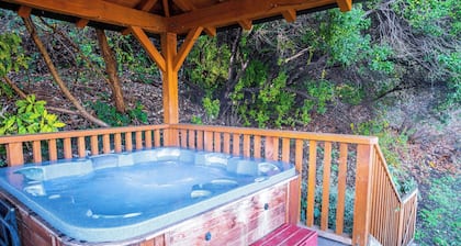 Wanaka Springs Lodge