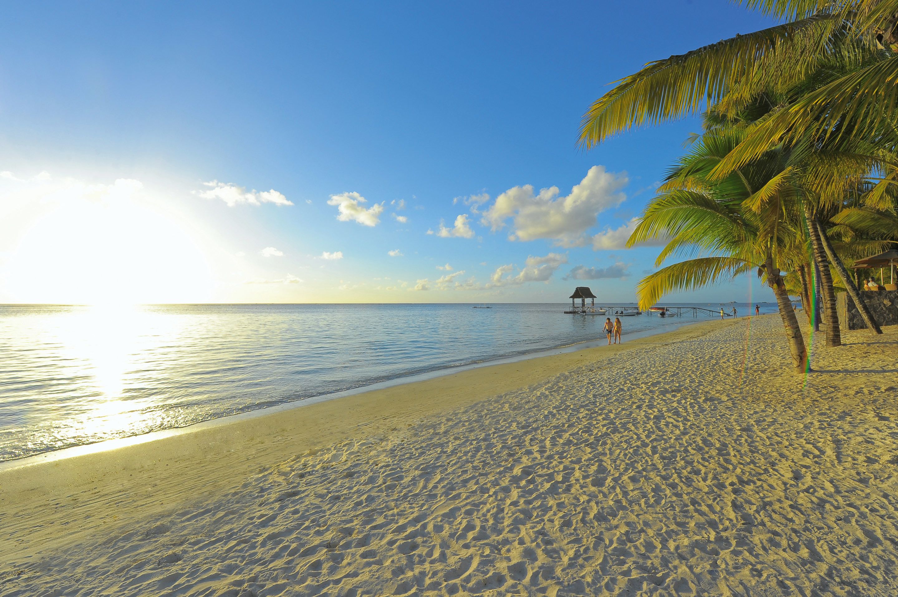 A beach with clear skies, calm water, and palm trees.