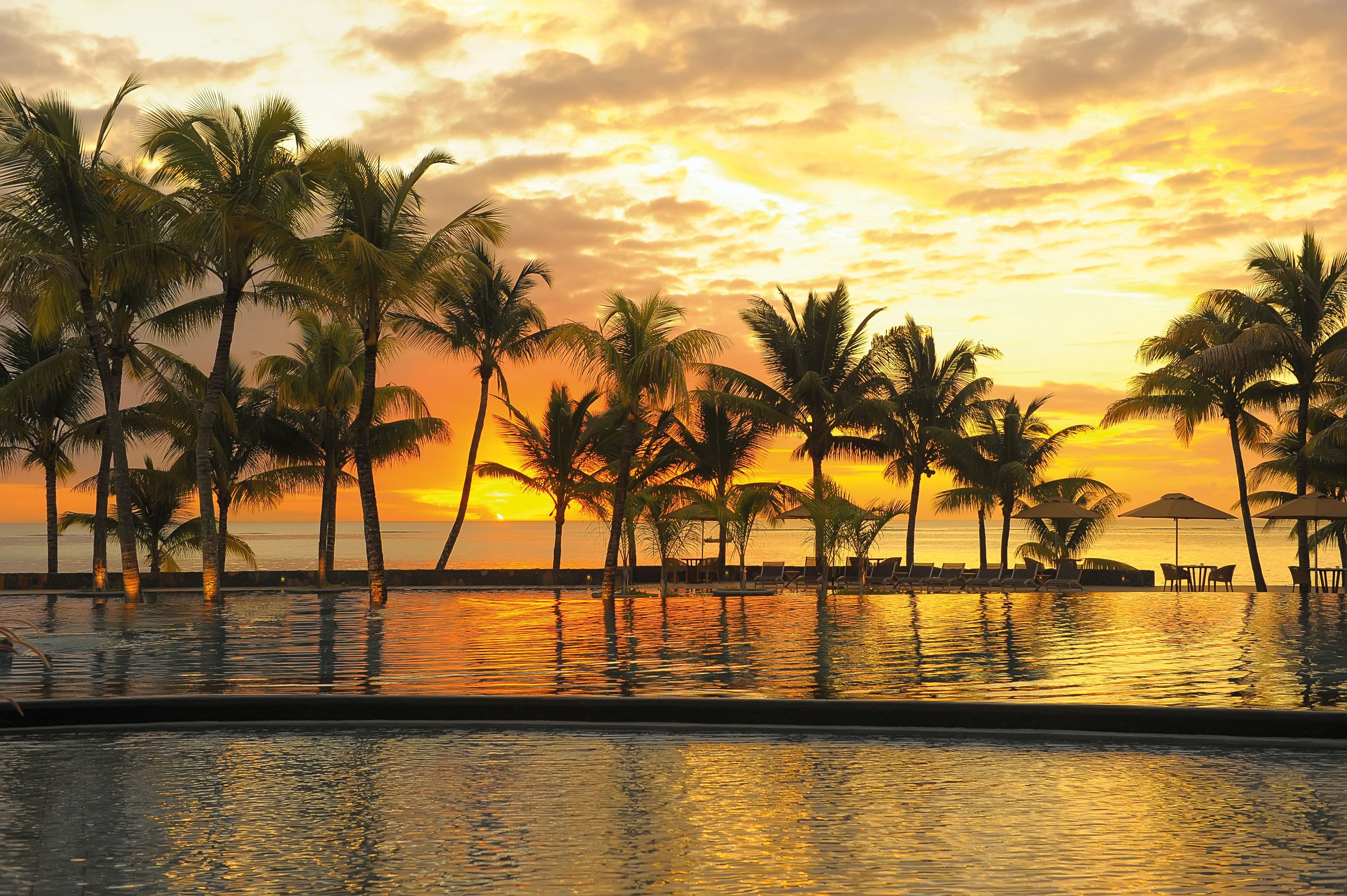 A poolside view with palm trees and a sunset.