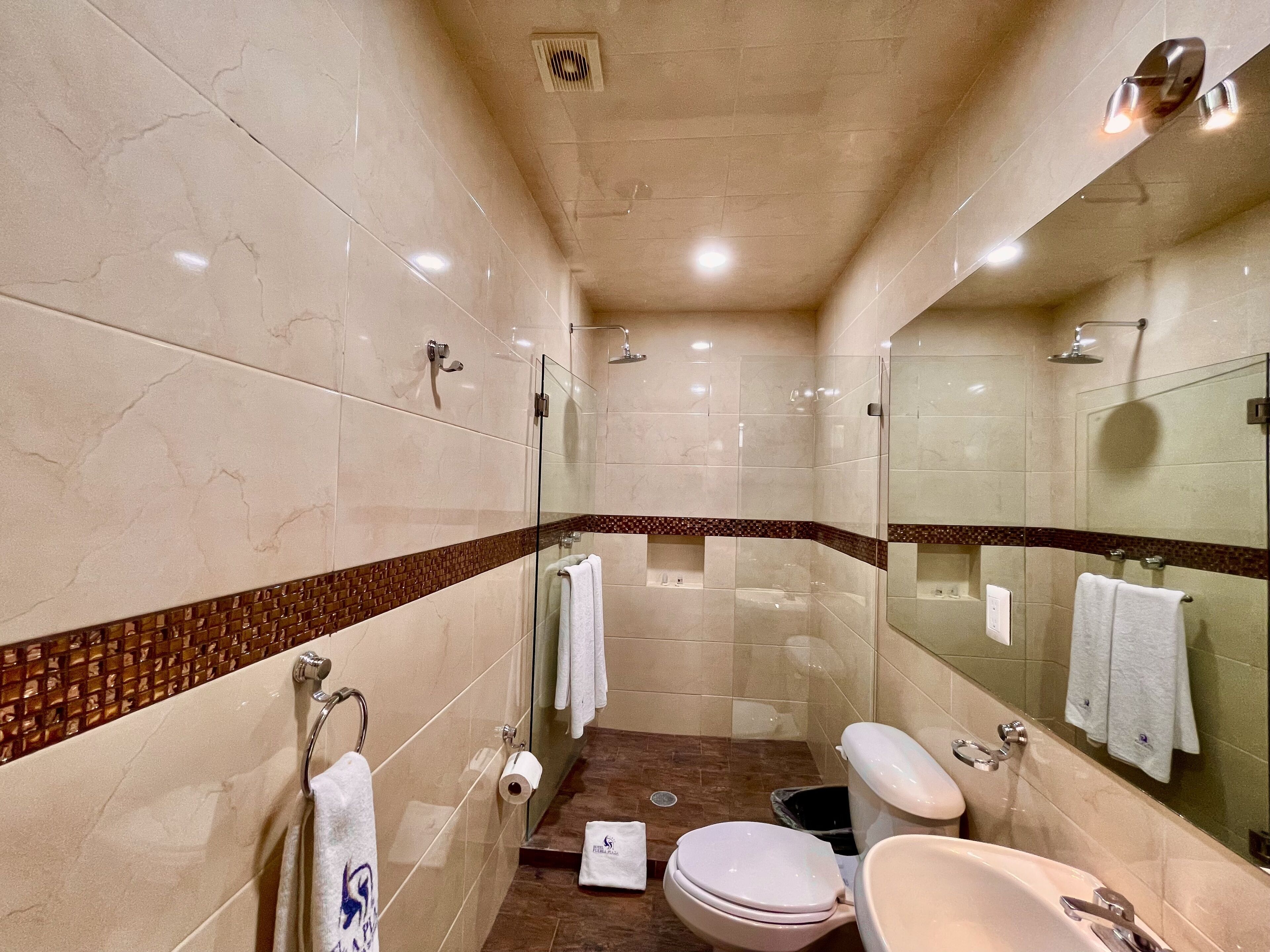 Foto - Hotel Puebla Plaza