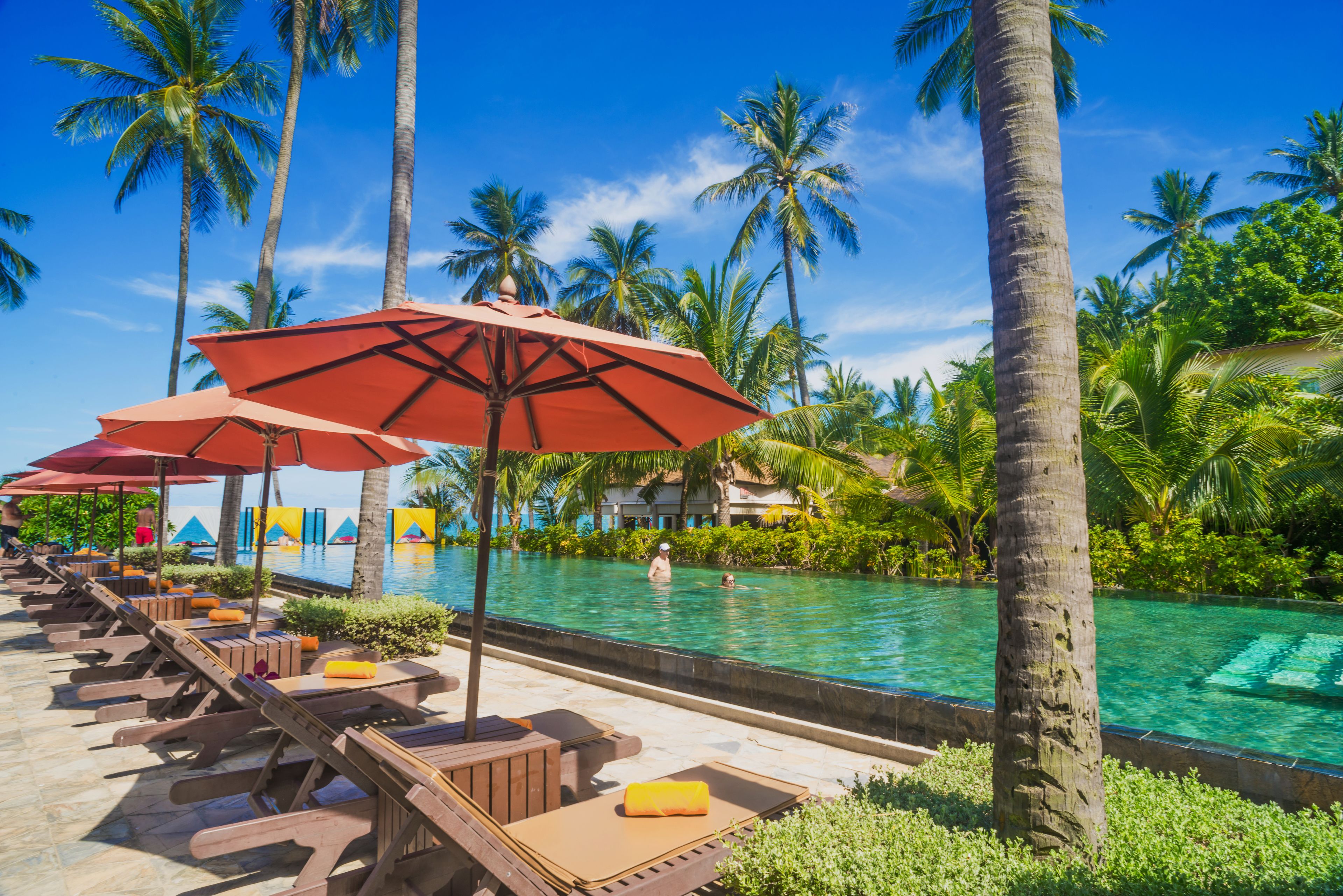 Premier Room | View from room