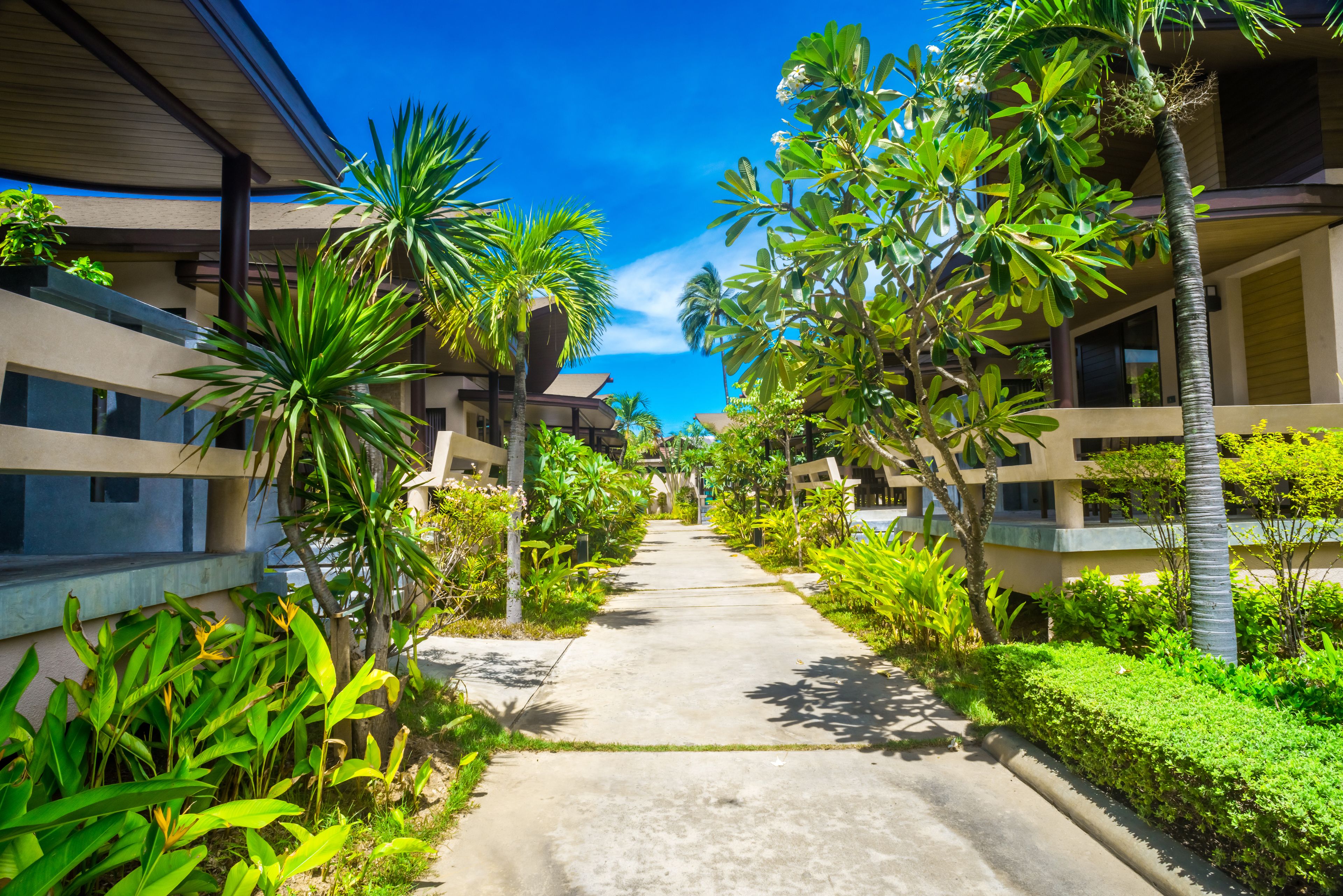 Áreas de la propiedad