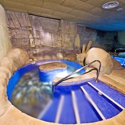 Sauna, bain à remous, hammam, soins corporels, soins d'hydrothérapie