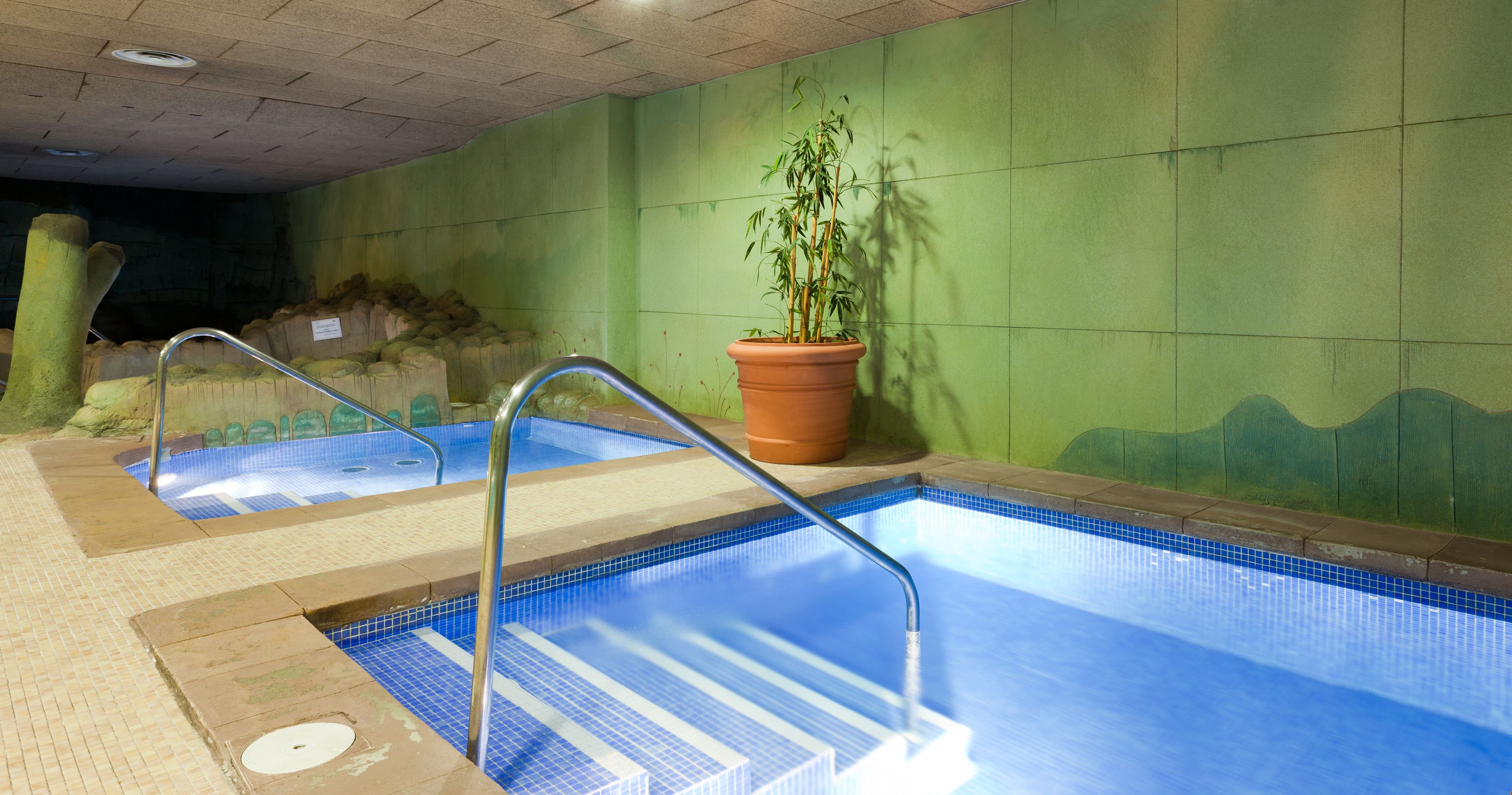Una piscina interior con escalones de cerámica y una planta en maceta.