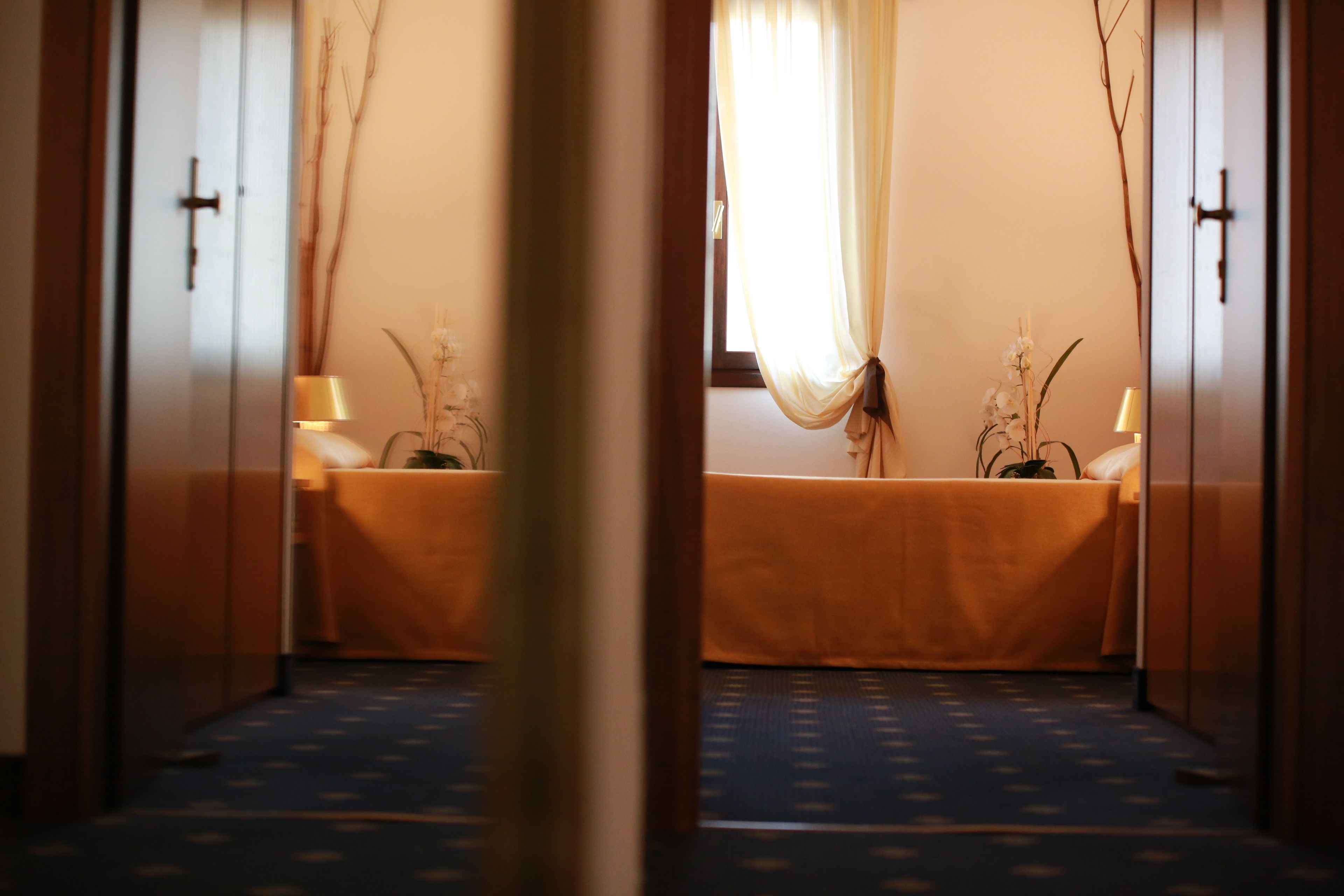 Una habitación con cama, ventana con cortinas, lámpara y planta.