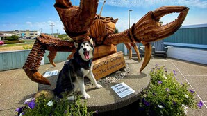 A sculpture of a crab with a dog sitting in front of it.