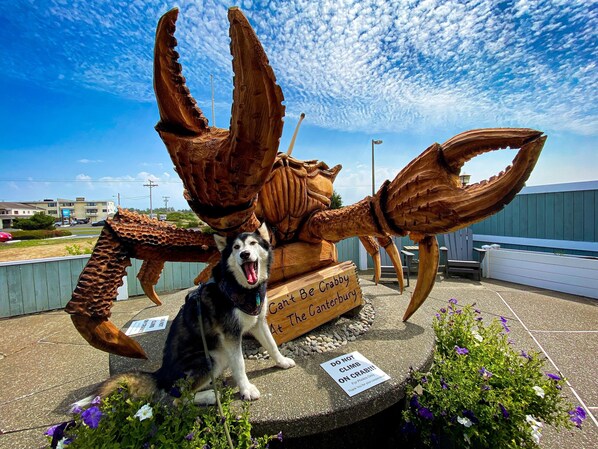 A sculpture of a crab with a dog sitting in front of it. - The Canterbury Inn (Ocean Shores)