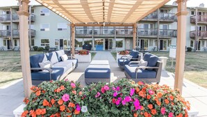A covered outdoor seating area with sofas and planters of flowers.