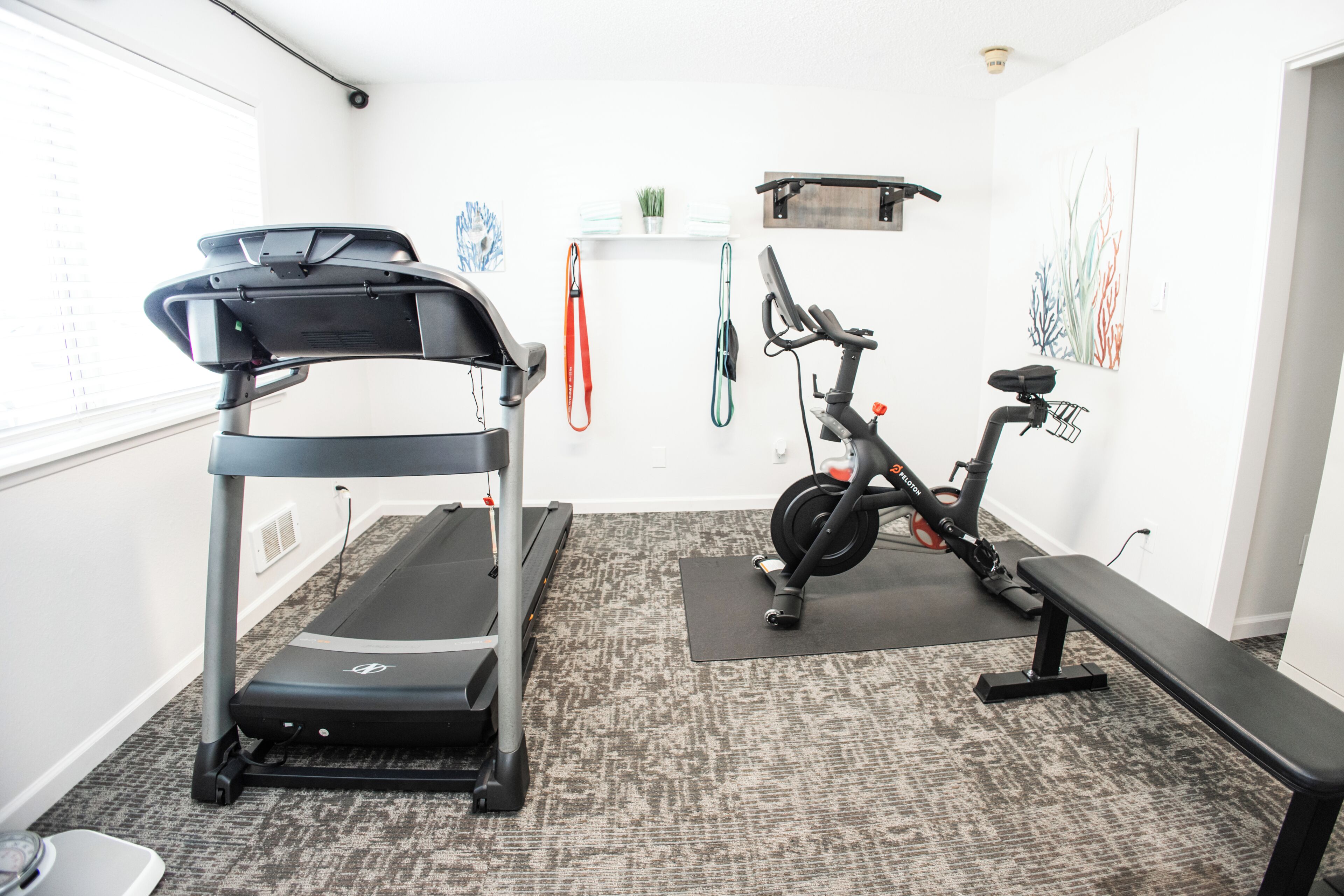 A home gym with a treadmill, stationary bike, and bench.