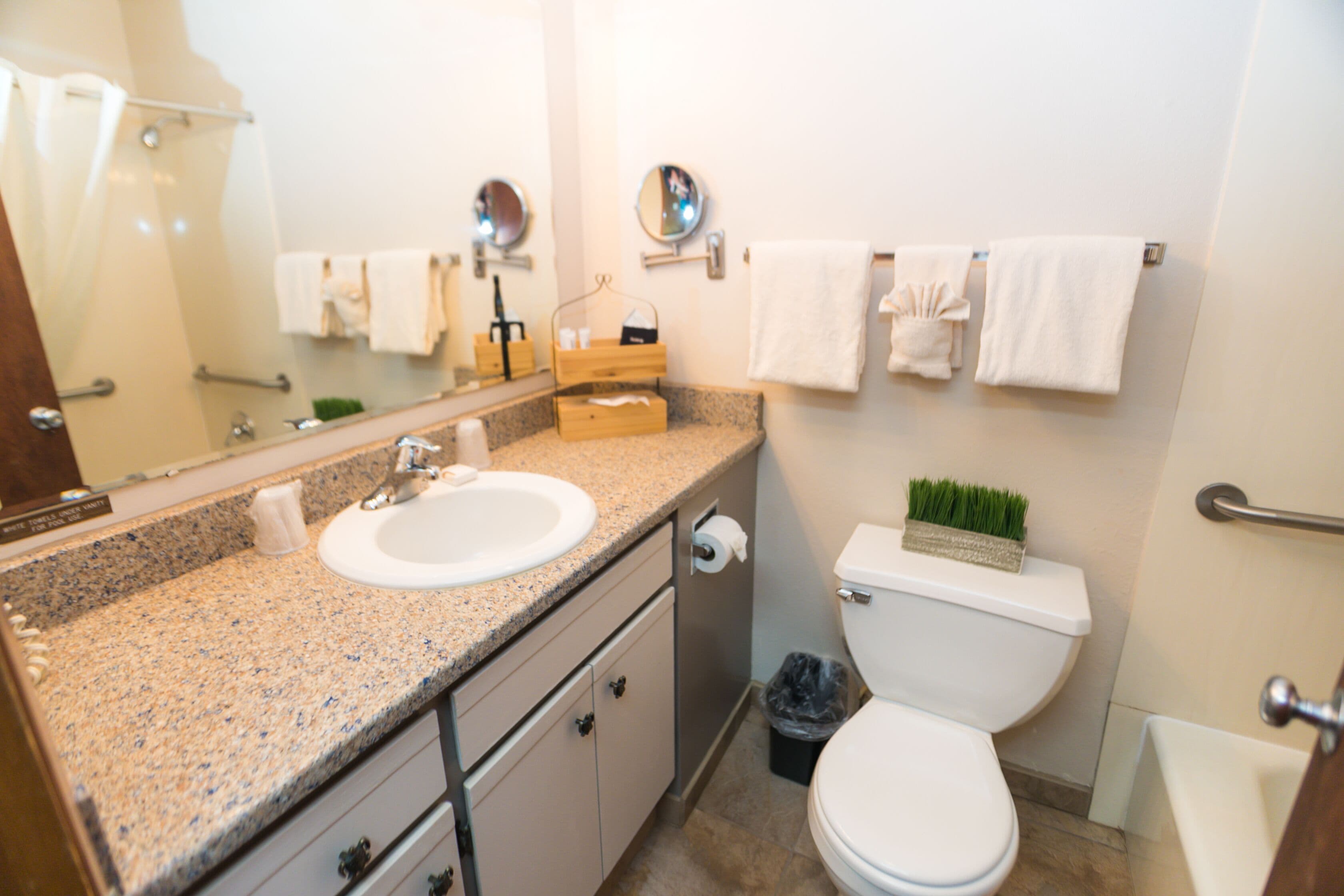 Une salle de bain avec un lavabo doté d’un plan de travail en granit, un miroir, des toilettes et une poubelle.