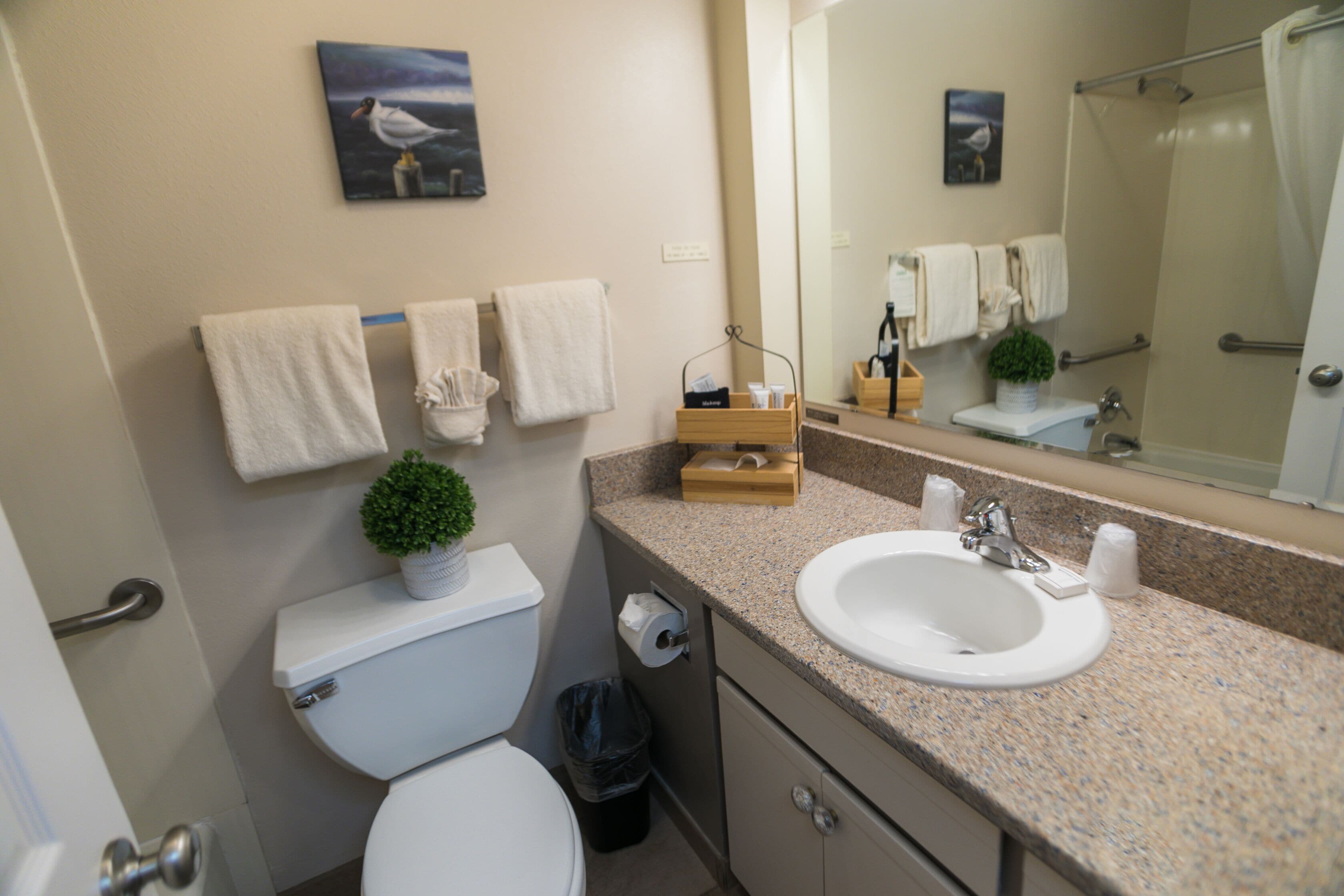 Een badkamer met toilet, wastafel en douche. Handdoeken hangen aan de muur en er staat een kleine plant op de wastafel.