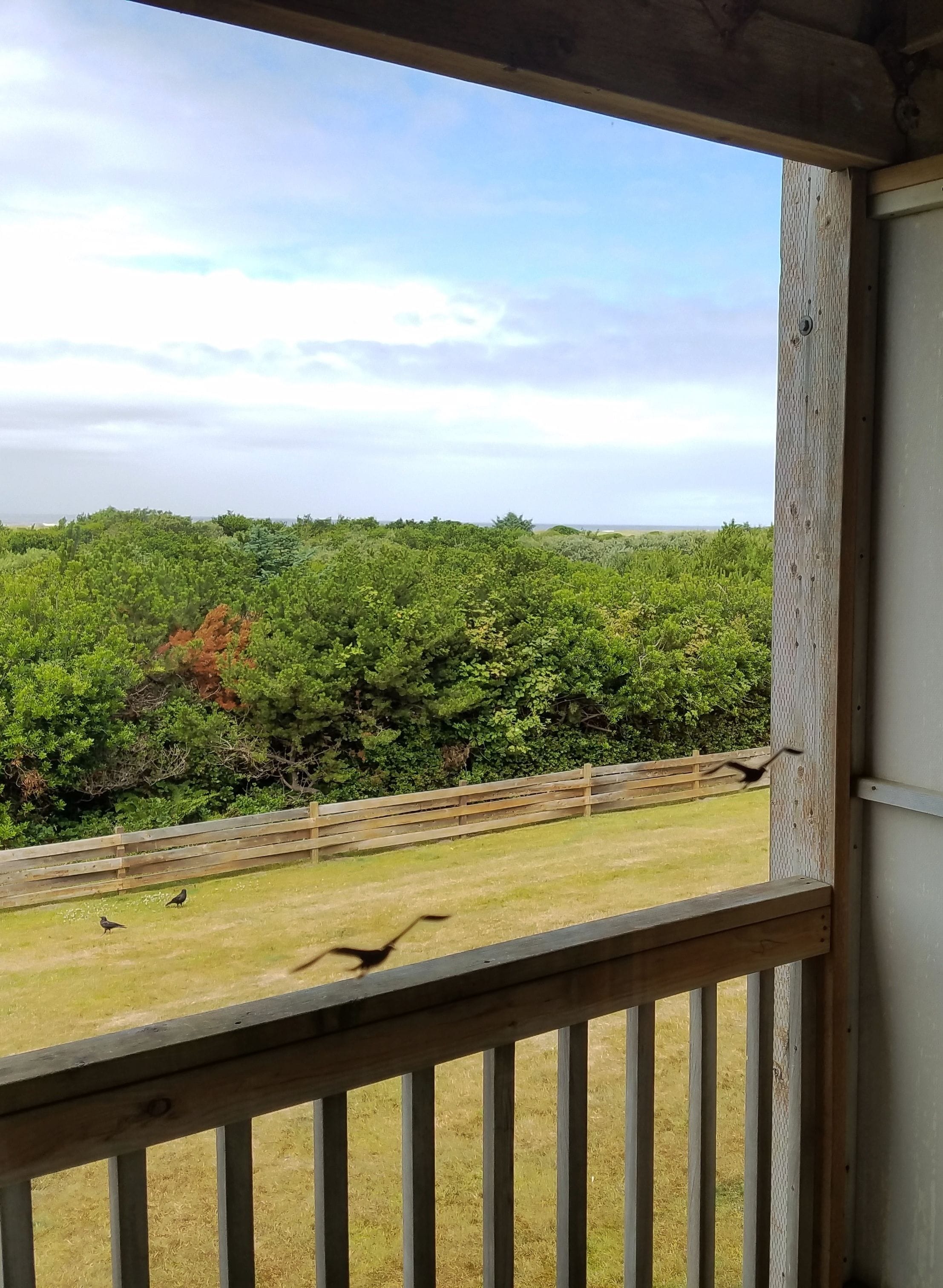 studio, 1 queen bed | garden view