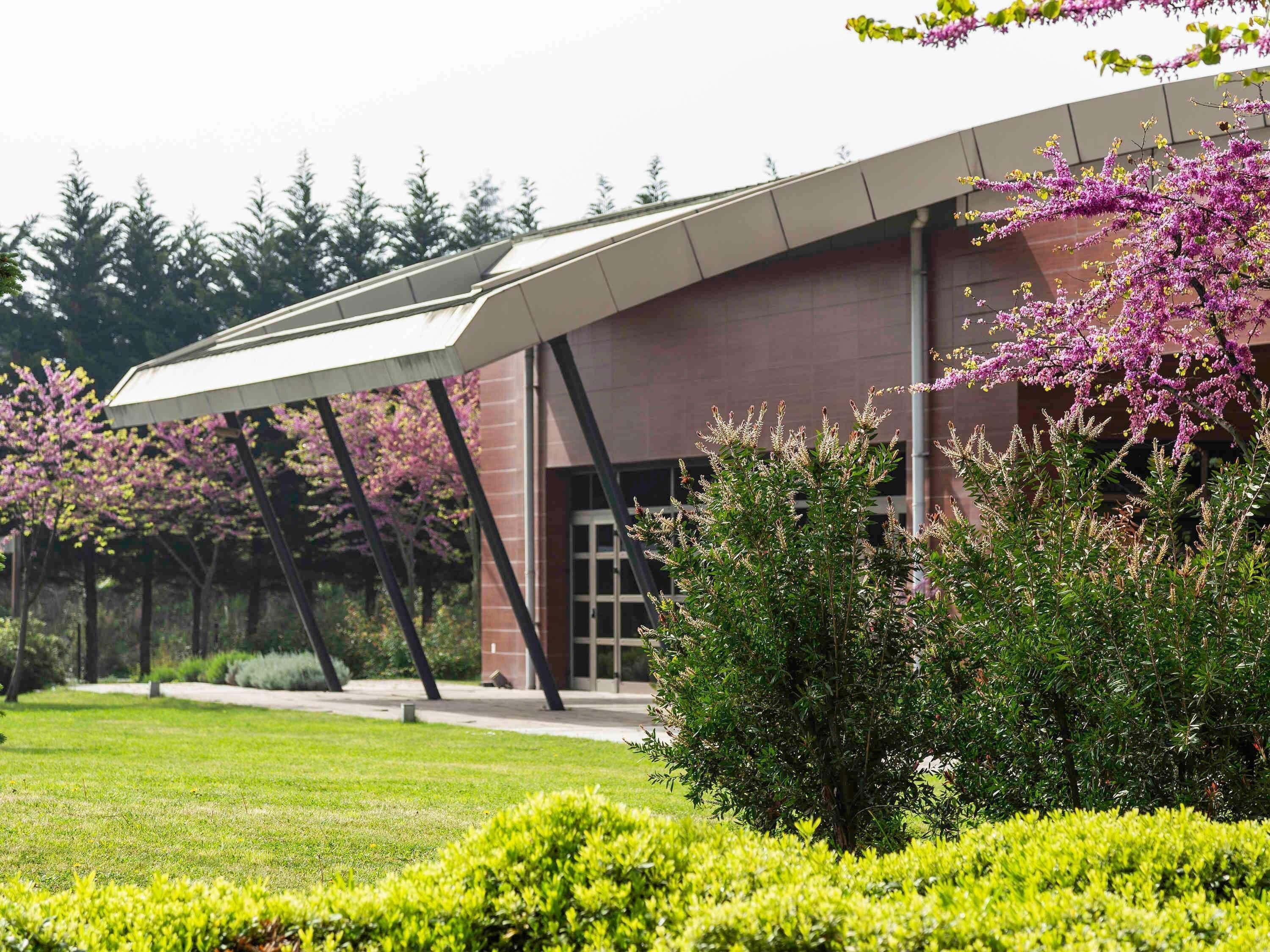 A modern building with a sloped roof, surrounded by well-maintained greenery and flowering trees.