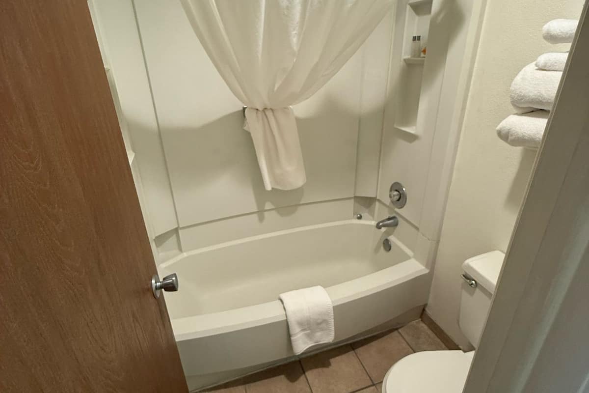 combined shower/bathtub, hair dryer, towels