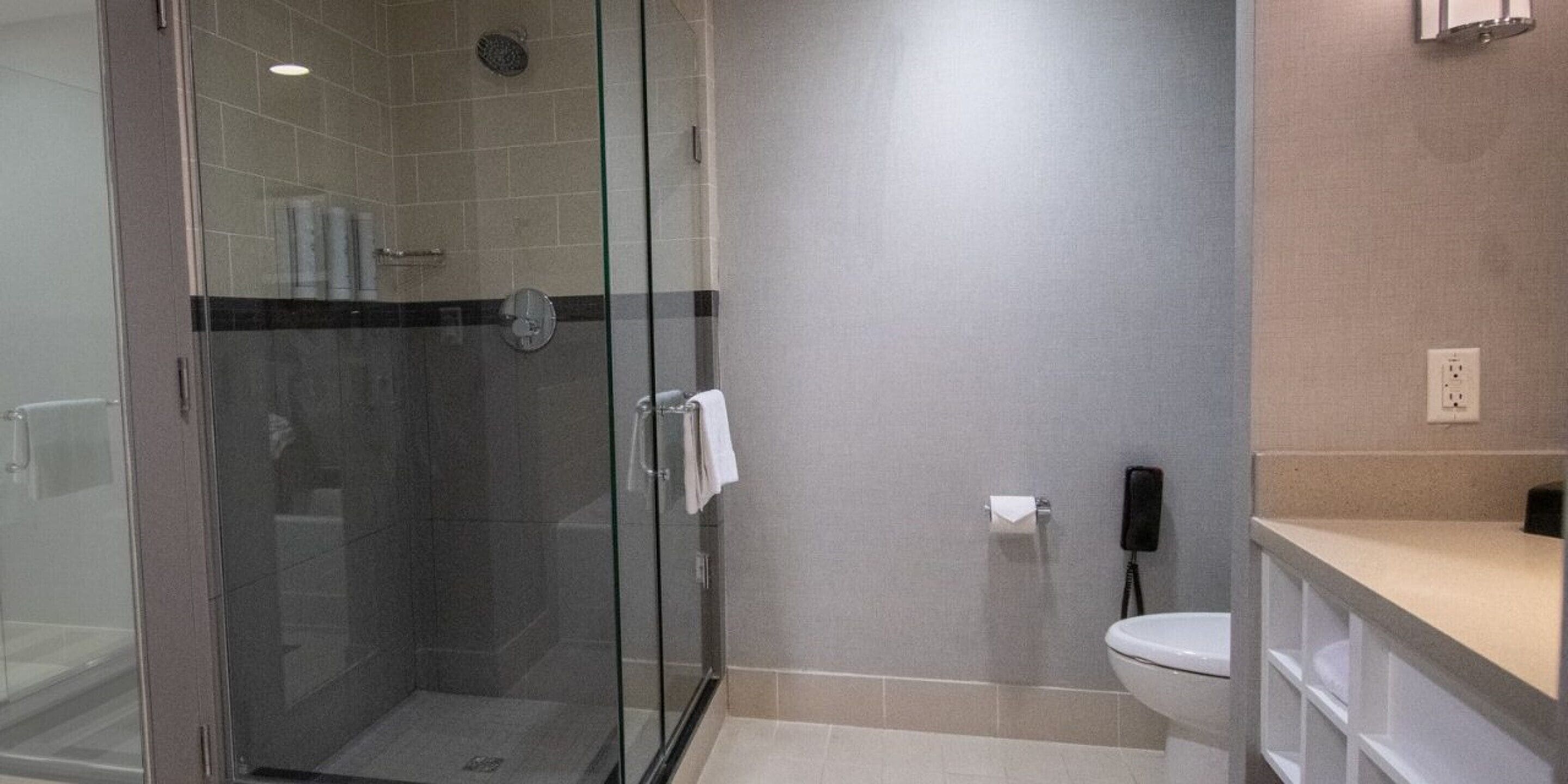 A modern bathroom with a glass-enclosed shower, a toilet, and a sink.