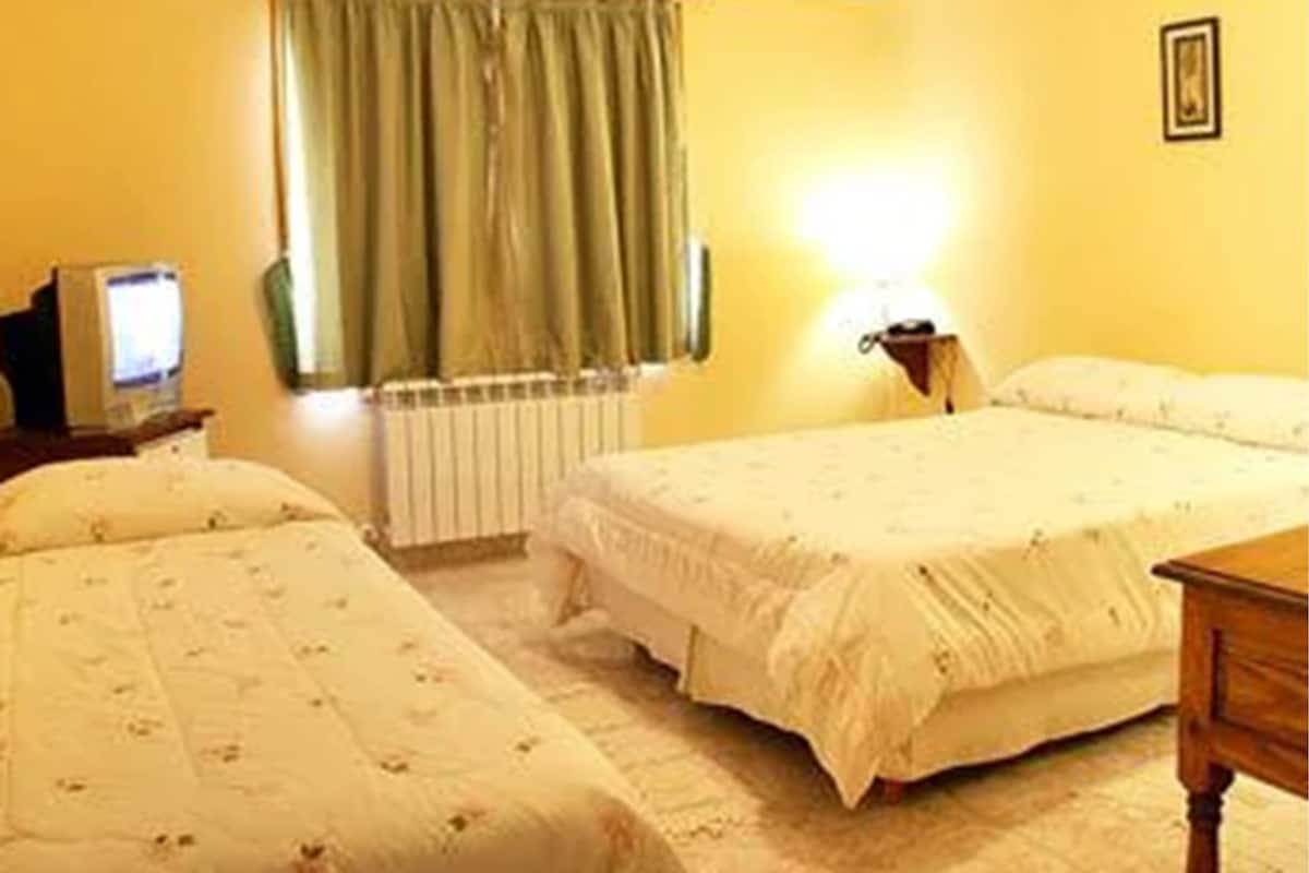Un dormitorio con dos camas, un radiador, un televisor y una lámpara.