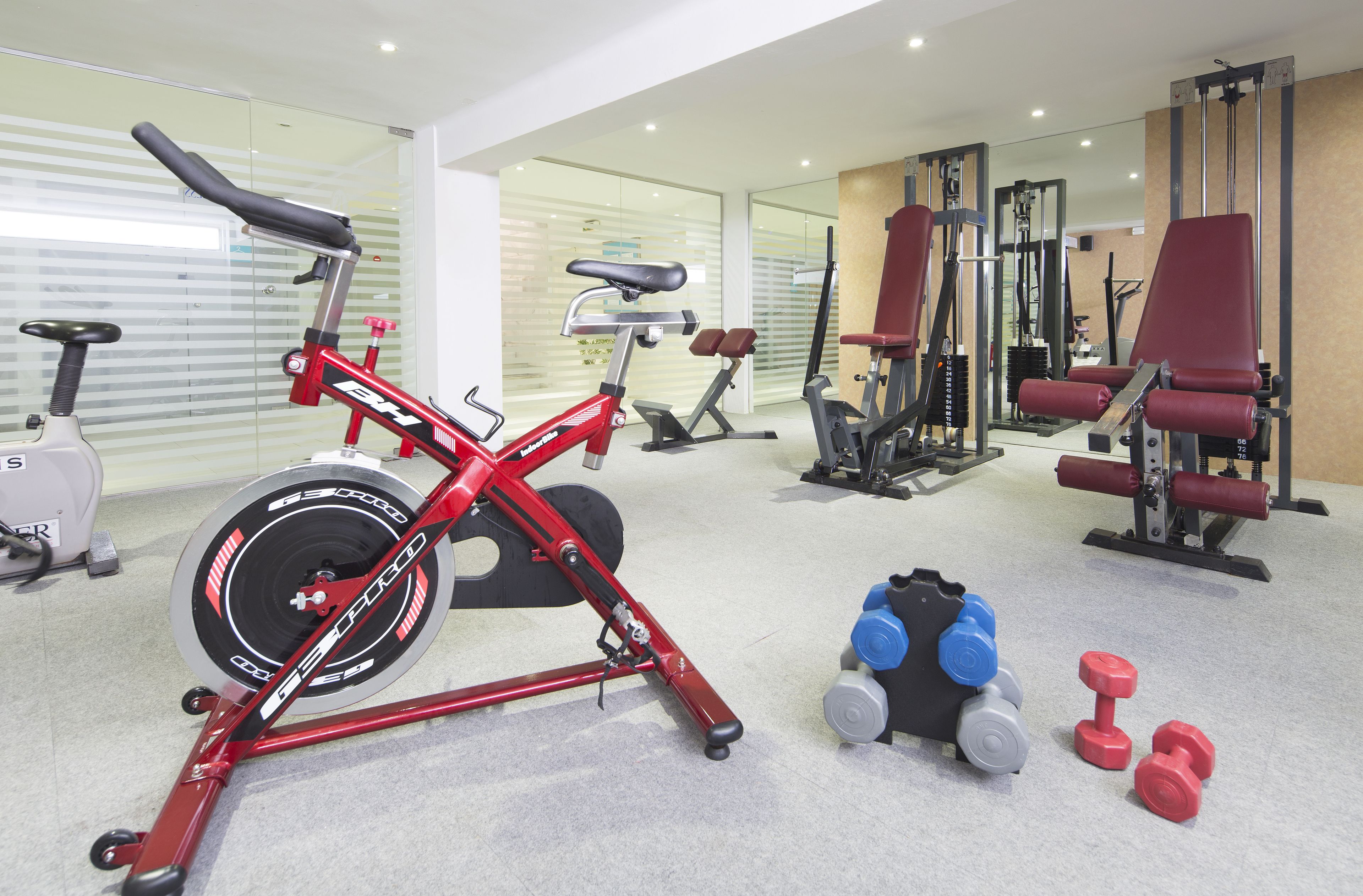 Un gimnasio con equipo de ejercicio, incluyendo una bicicleta estática, máquinas de pesas y mancuernas.