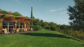 A building with outdoor seating, a grassy lawn, and a vineyard in the background.