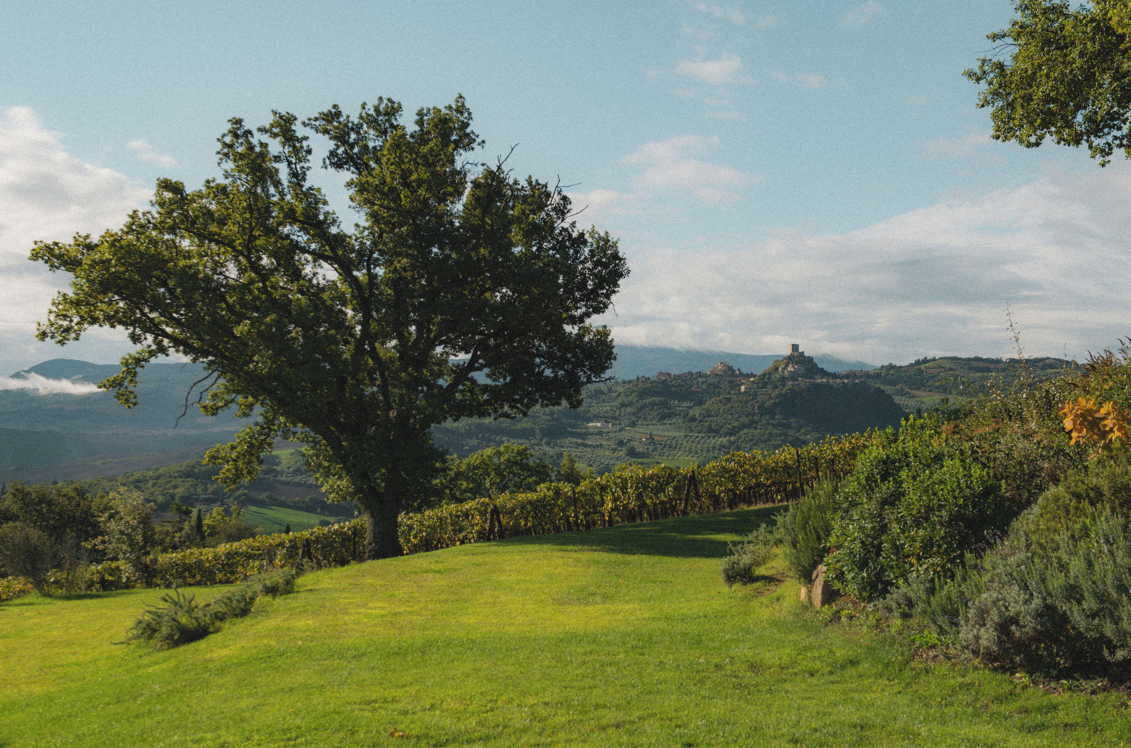Un sendero bordeado de árboles que conduce a una colina con vistas a colinas distantes y una construcción similar a un castillo.