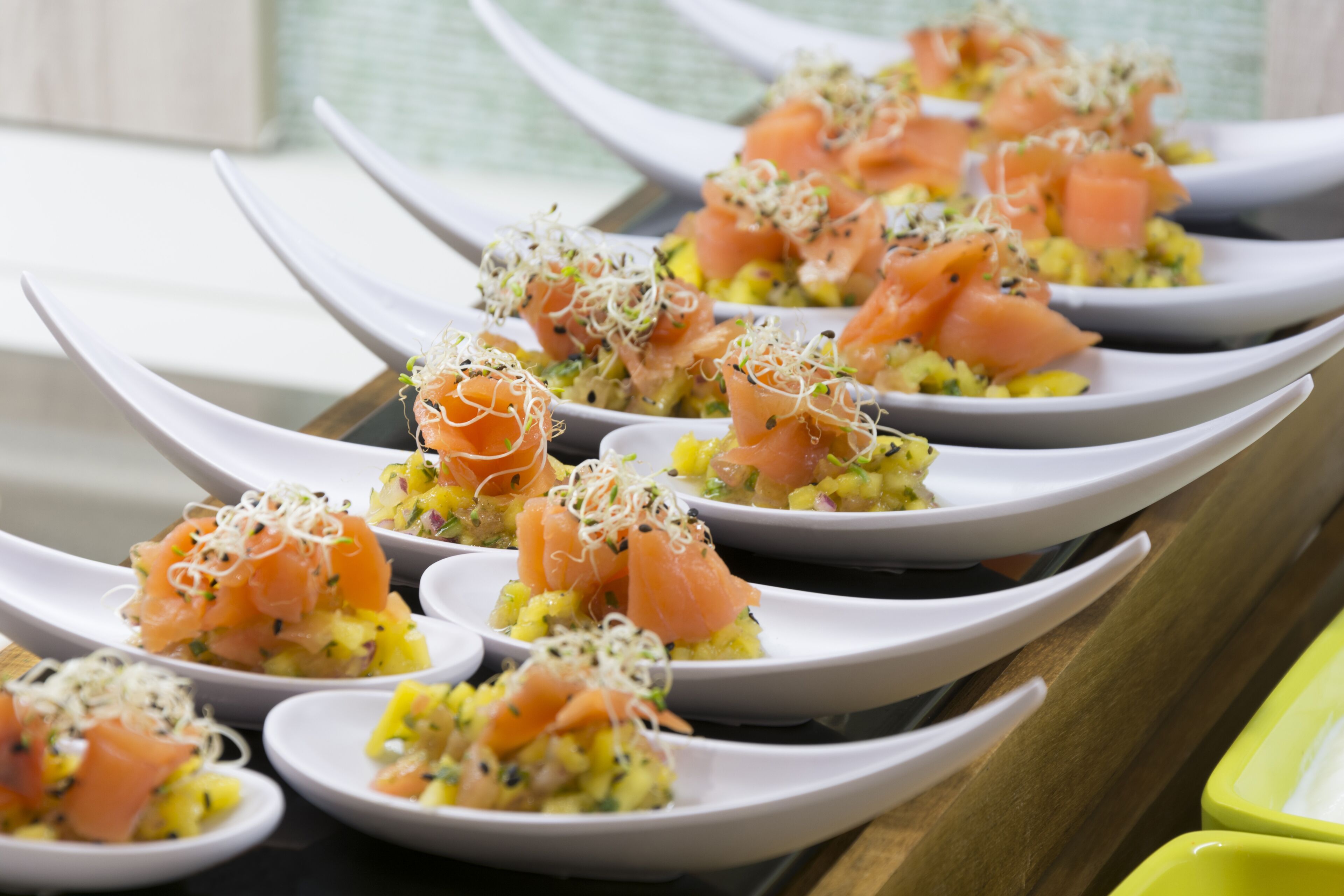 Foto - Ona Palmira Paguera