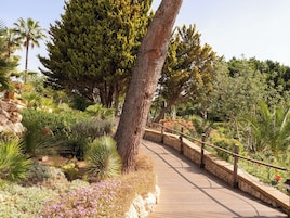 Jardín