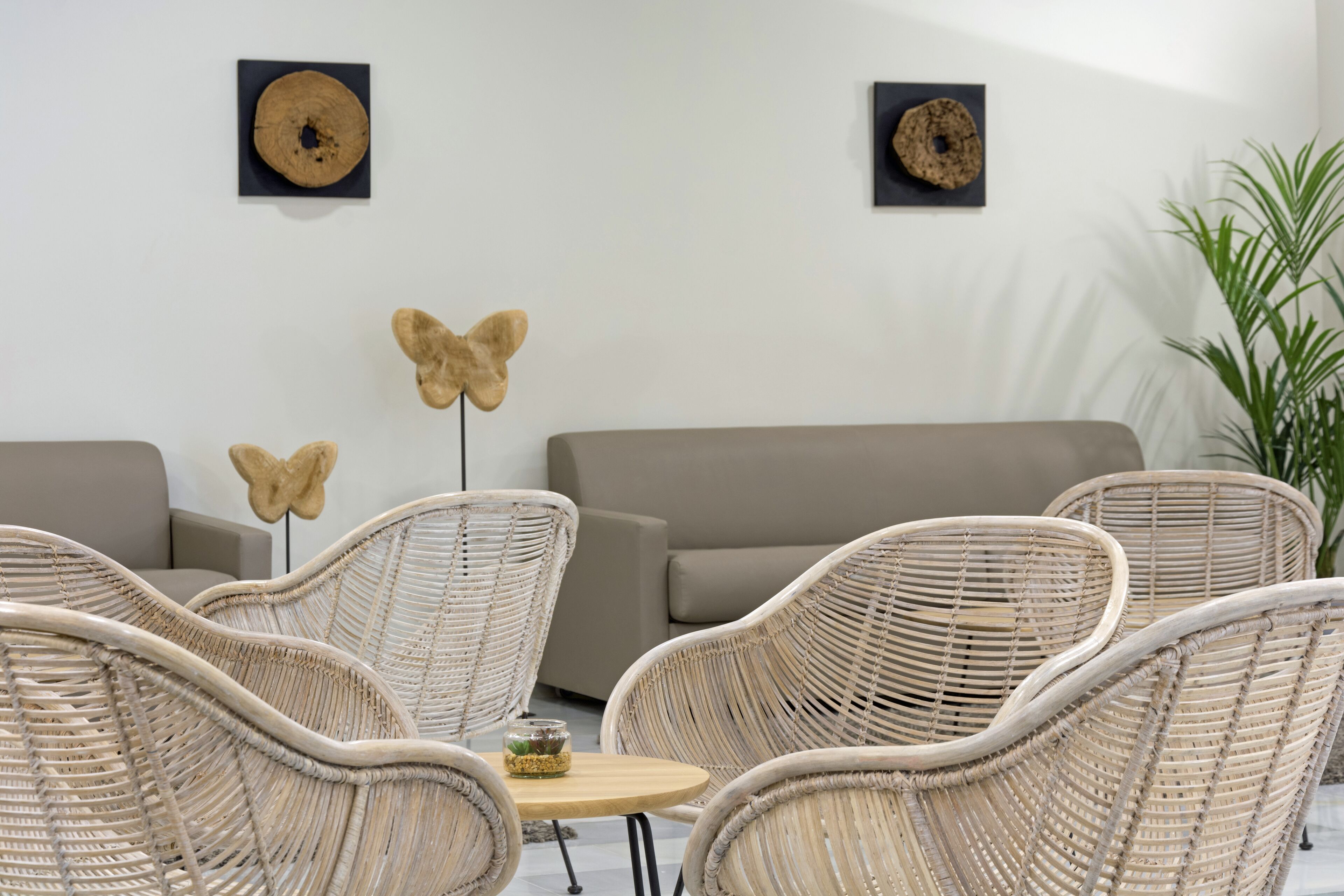 Photo - Ona Palmira Paguera