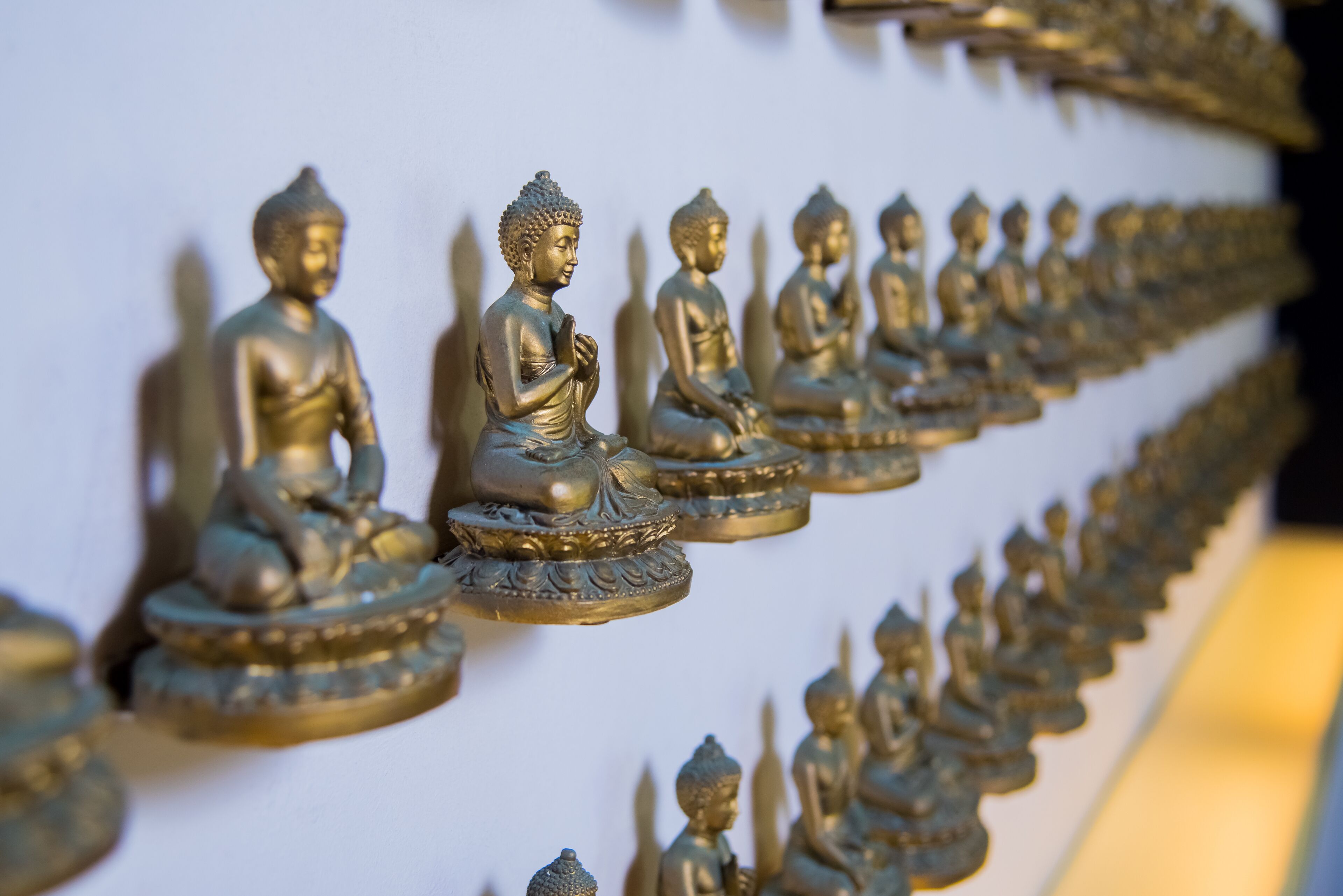 A row of golden Buddha statues.