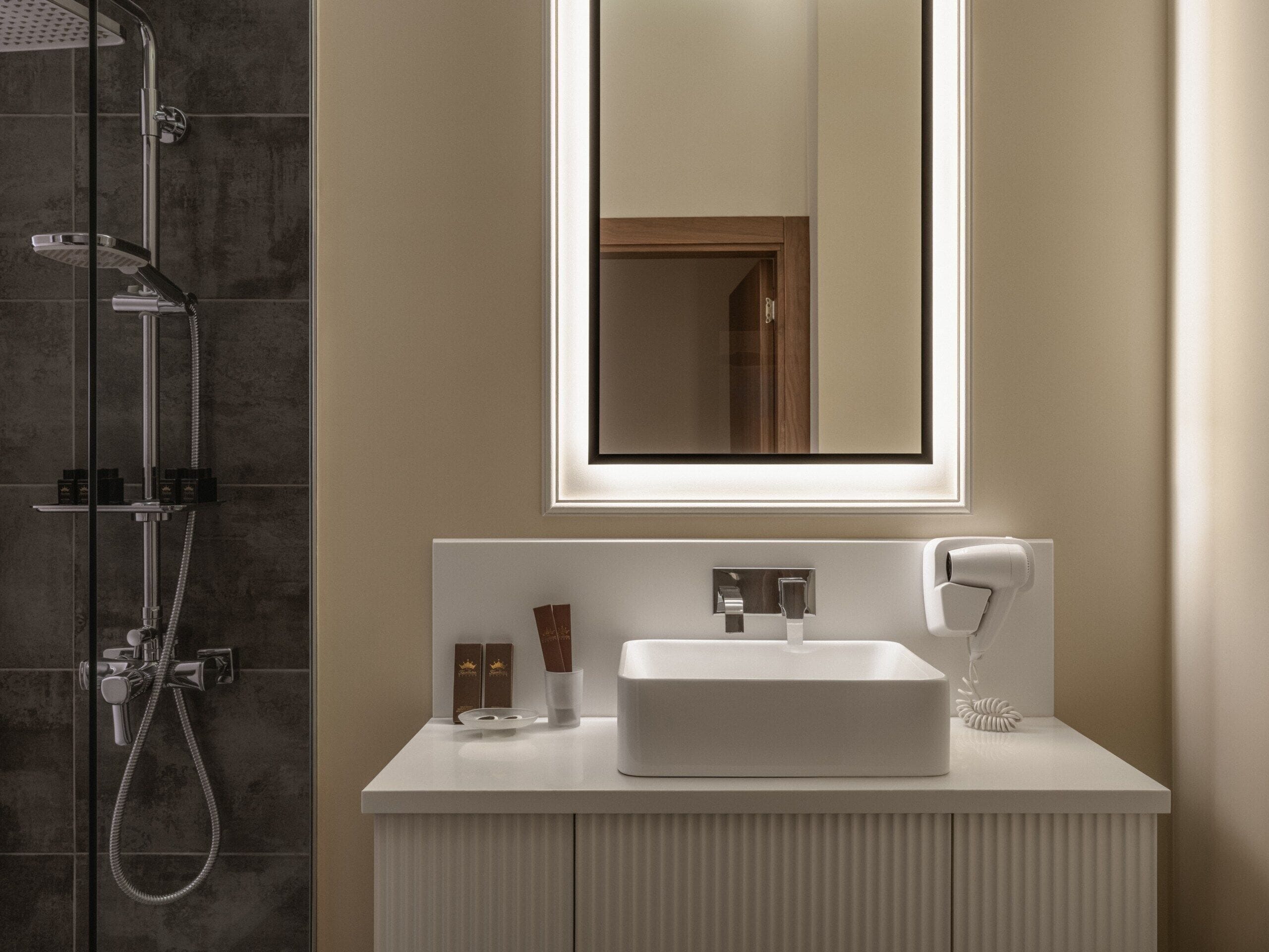 A modern bathroom with a white sink, a handheld showerhead, and a mirror above the sink.