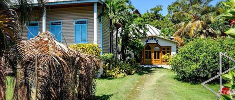 A house with a museum labeled 'MUSEO' in front, surrounded by lush greenery and palm trees.