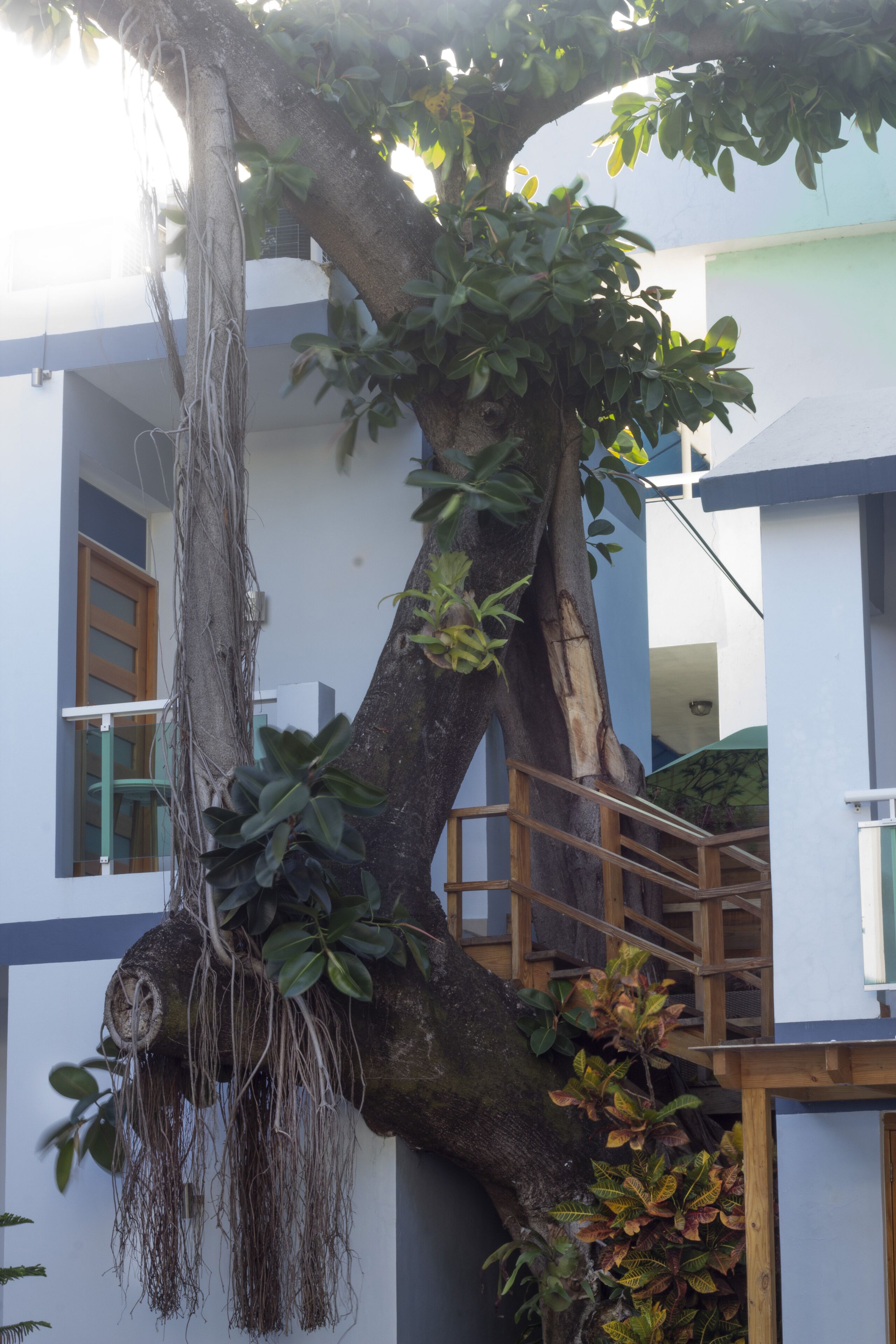 Foto - Casa Valeria Boutique Hotel