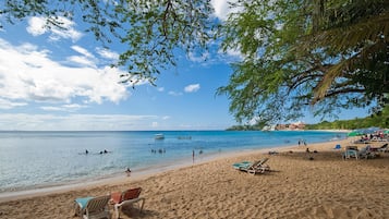 Bar de plage