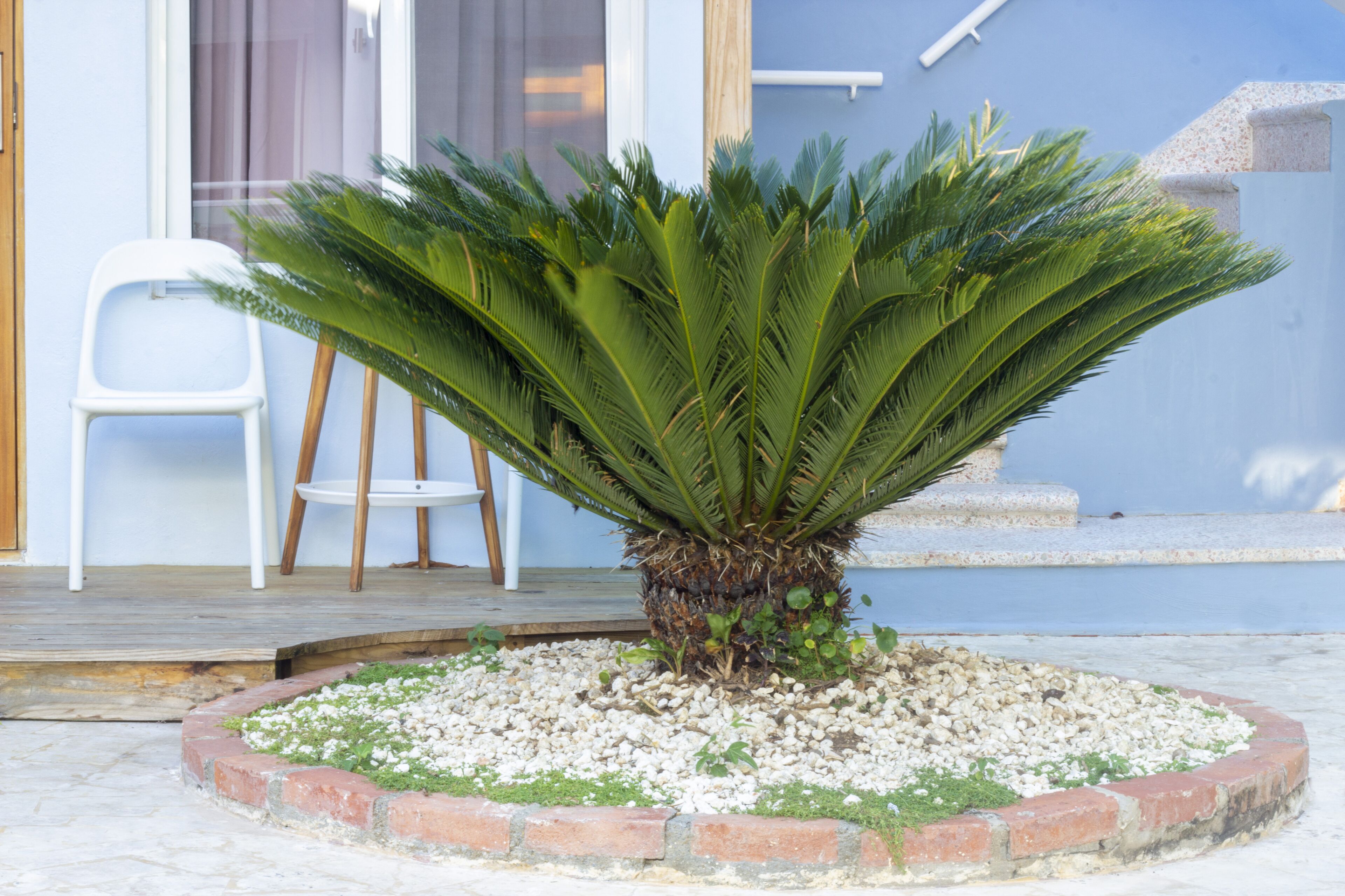 Foto - Casa Valeria Boutique Hotel