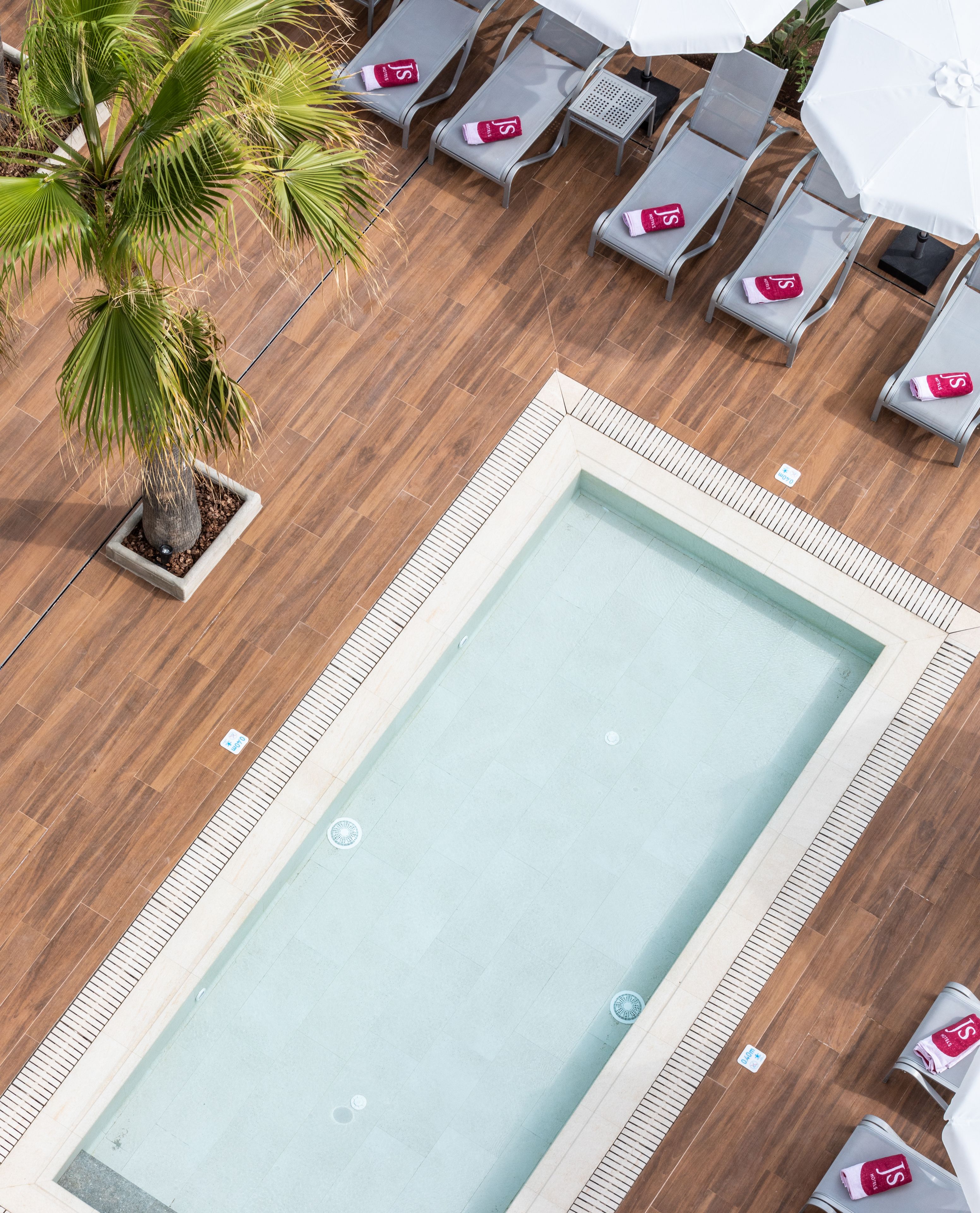 An aerial view of a swimming pool with lounge chairs and umbrellas, surrounded by wooden decking and a palm tree.