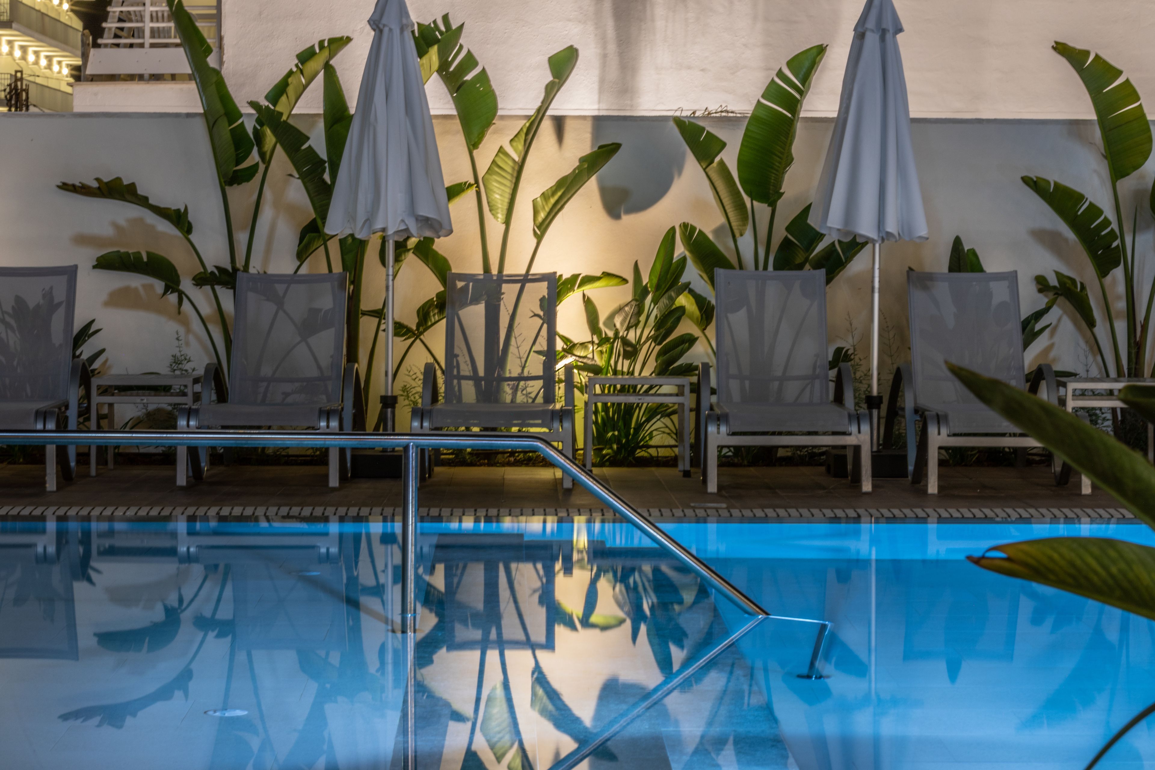 Zona de piscina con sillones de descanso y sombrillas, rodeada de plantas verdes grandes.