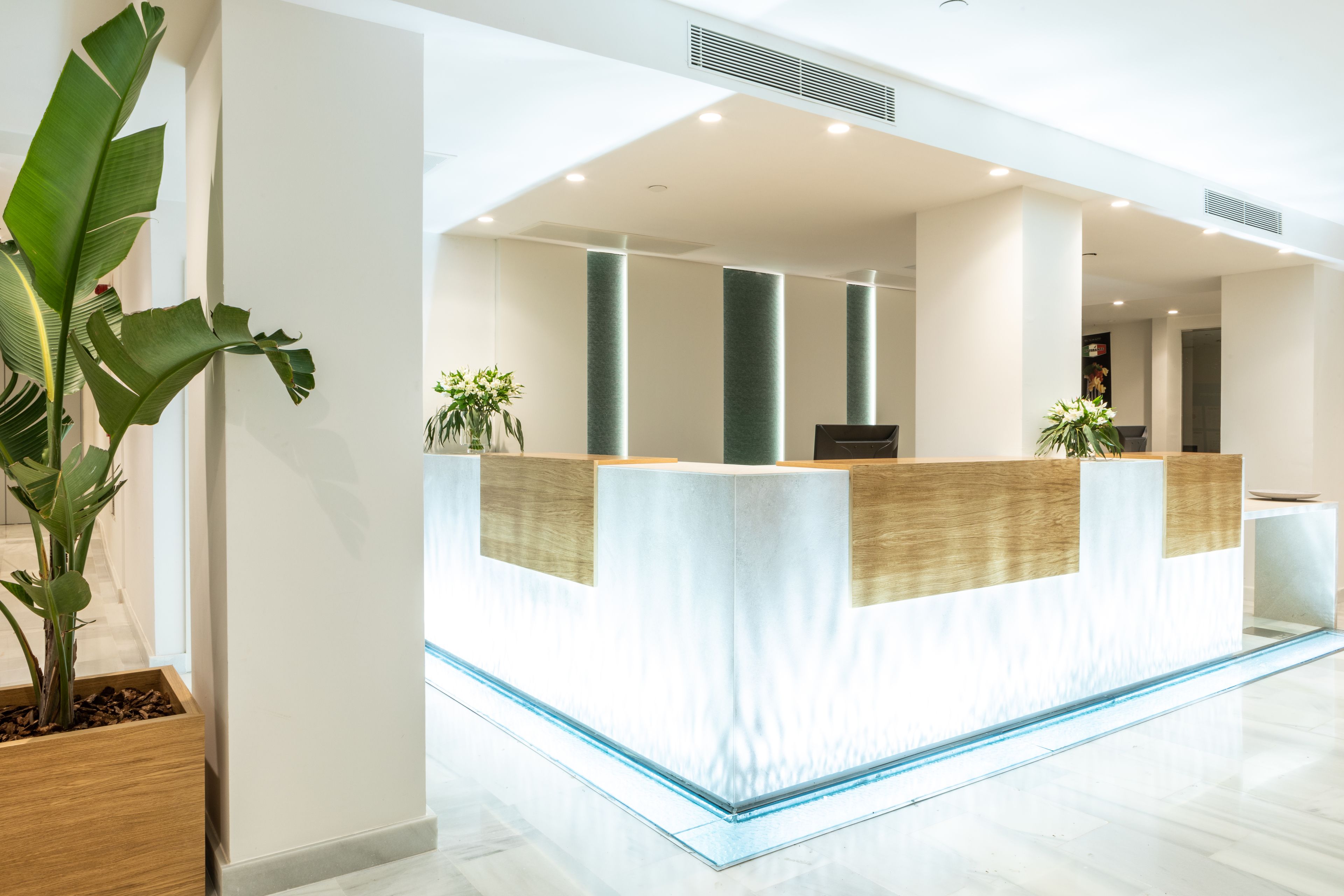Un mostrador de recepción con detalles de madera y base de cristal, flanqueado por dos plantas en macetas.