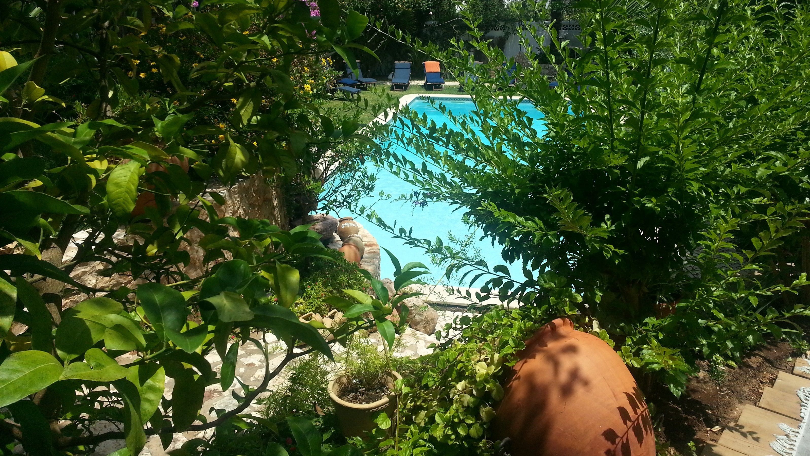 outdoor pool, pool umbrellas, pool loungers